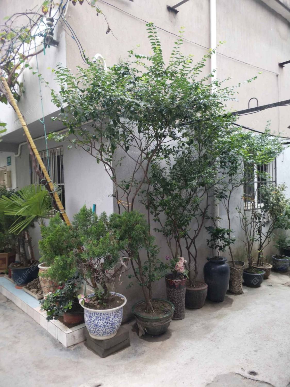 上海晋阳里小区_晋阳里小区null