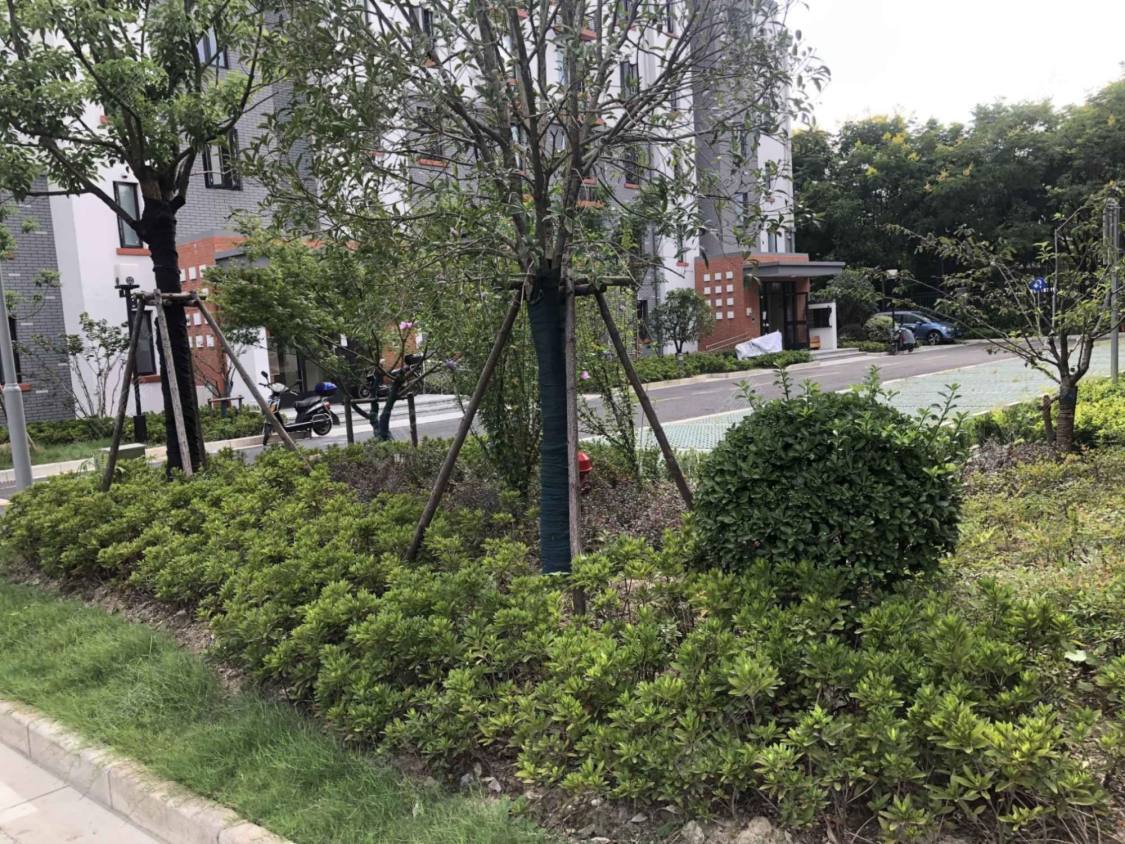 上海智华苑小区_智华苑小区null