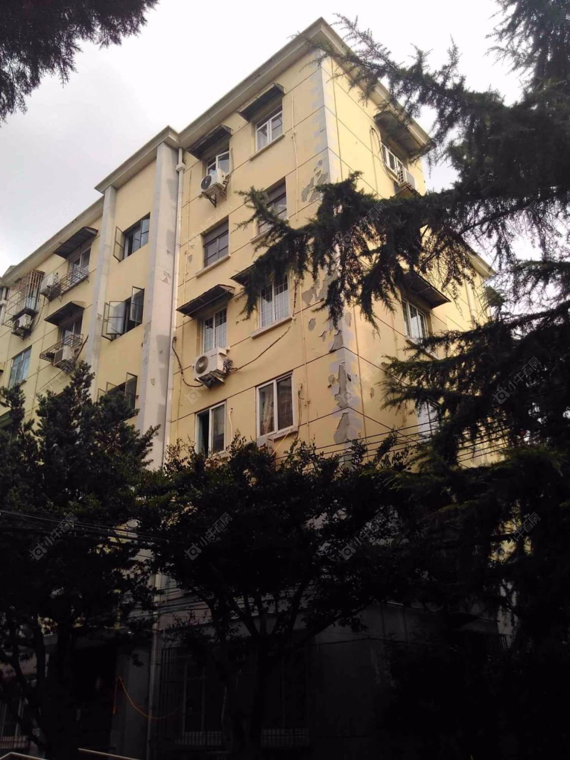 东四小区封面图_小牛看房