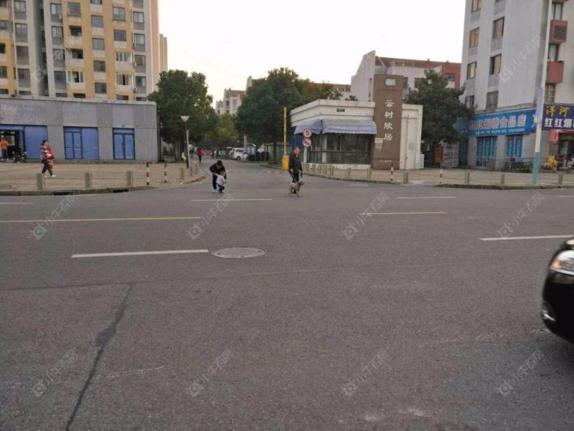 上海云树欣居小区_云树欣居小区null