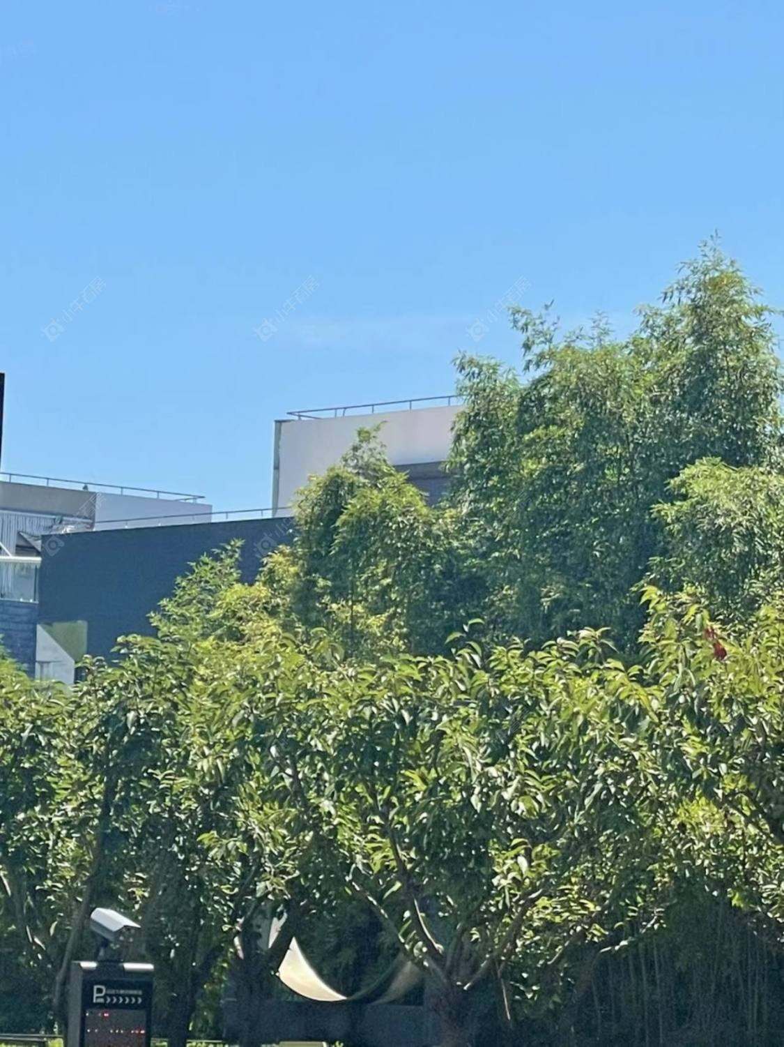 沁风雅泾封面图_小牛看房