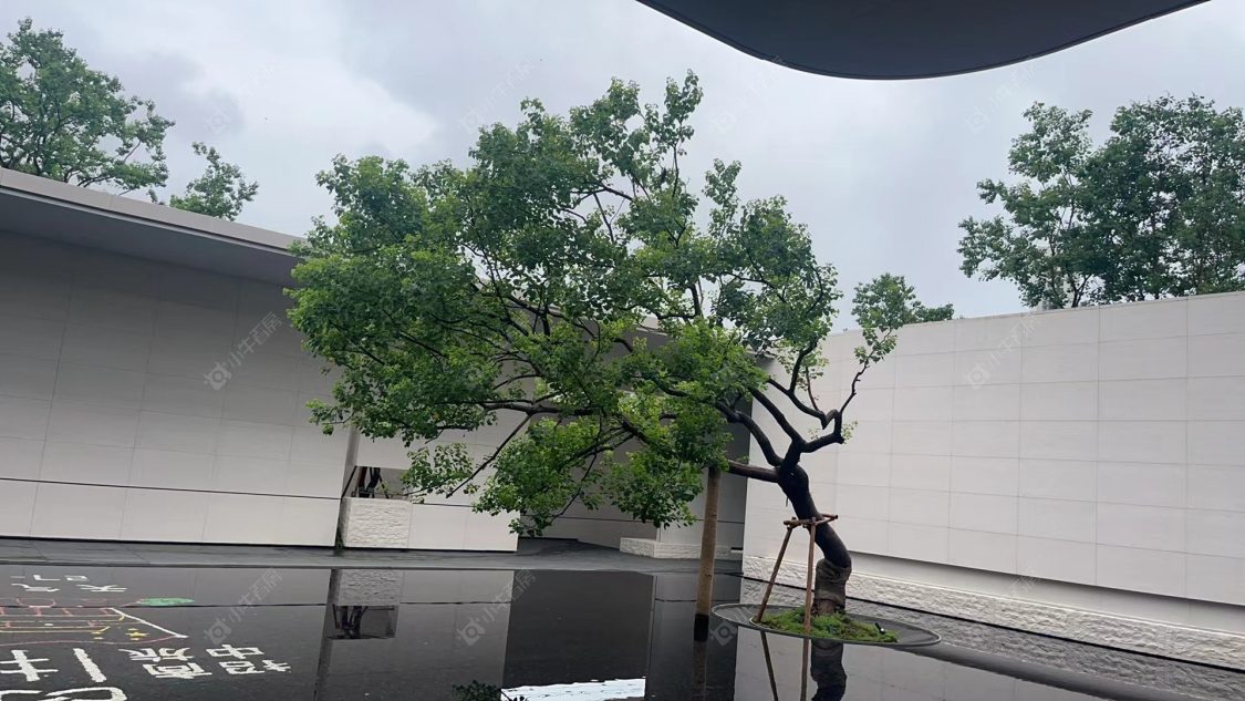 上海招商中旅揽阅在售新楼盘null