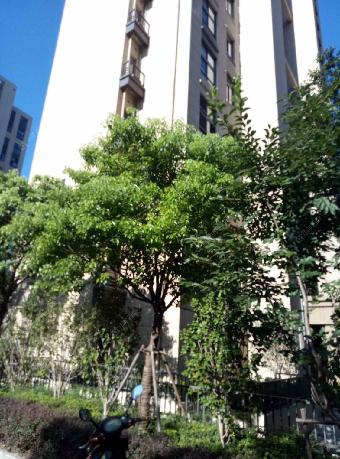 上海万业梦立方小区_万业梦立方小区null