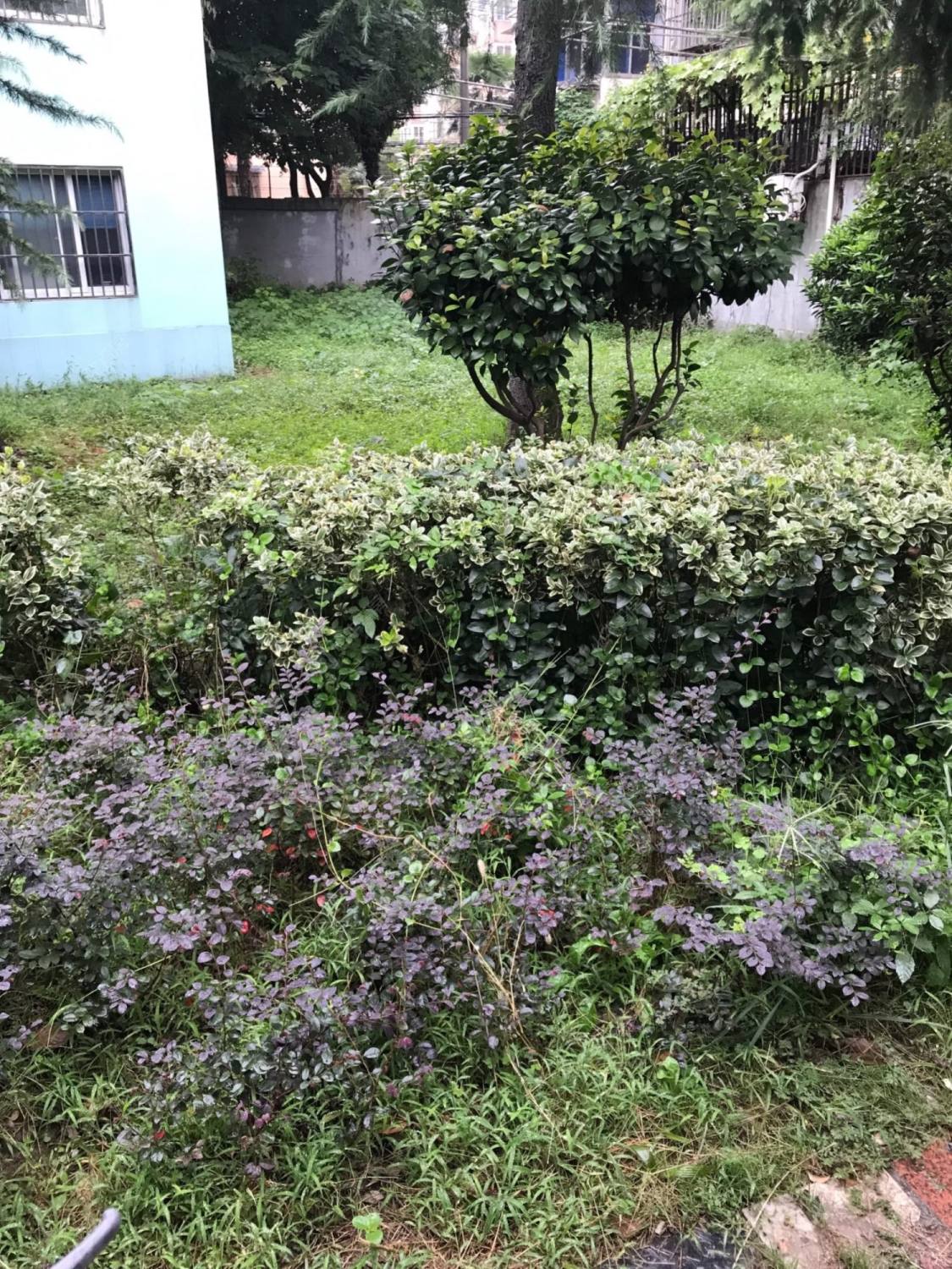 上海古美四村小区_古美四村小区null