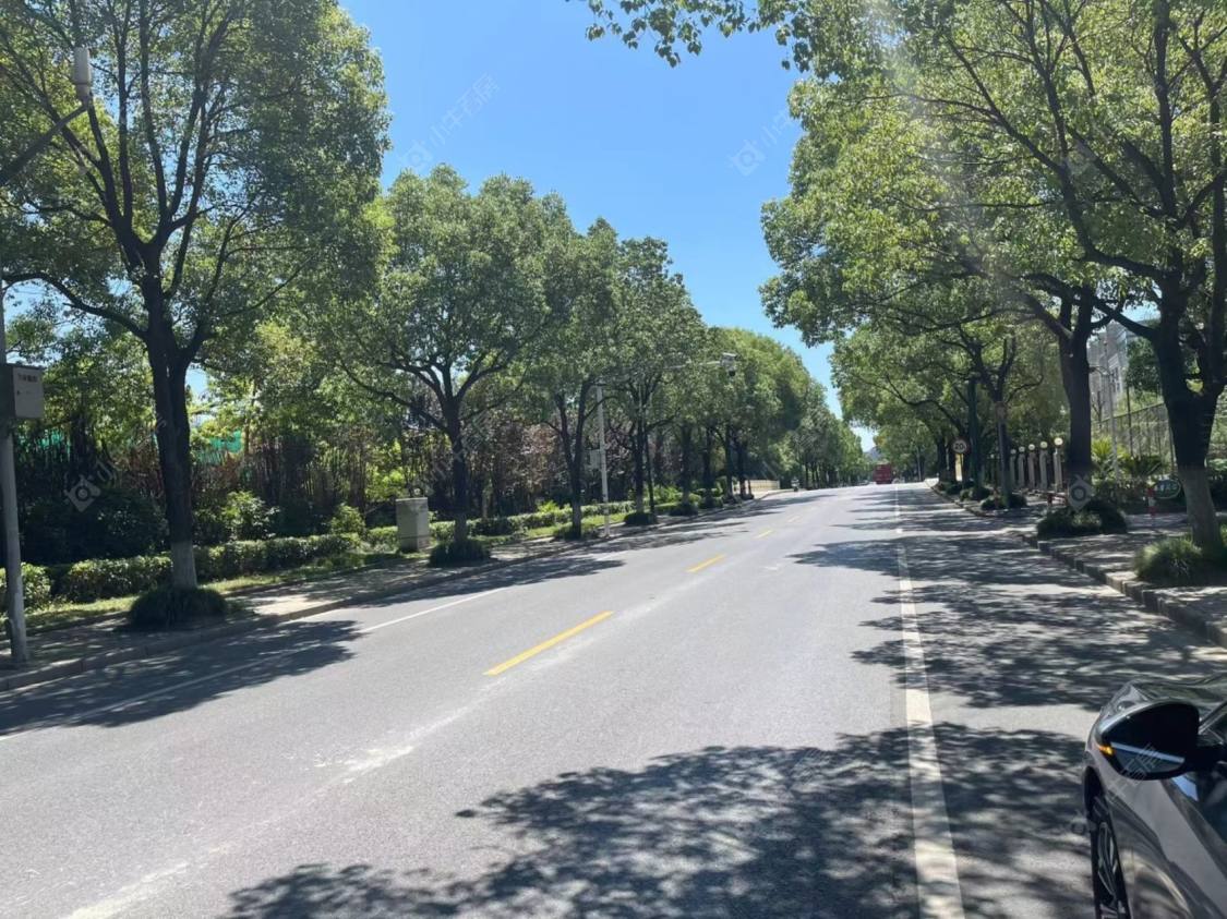 上海西郊美林馆小区_西郊美林馆小区null