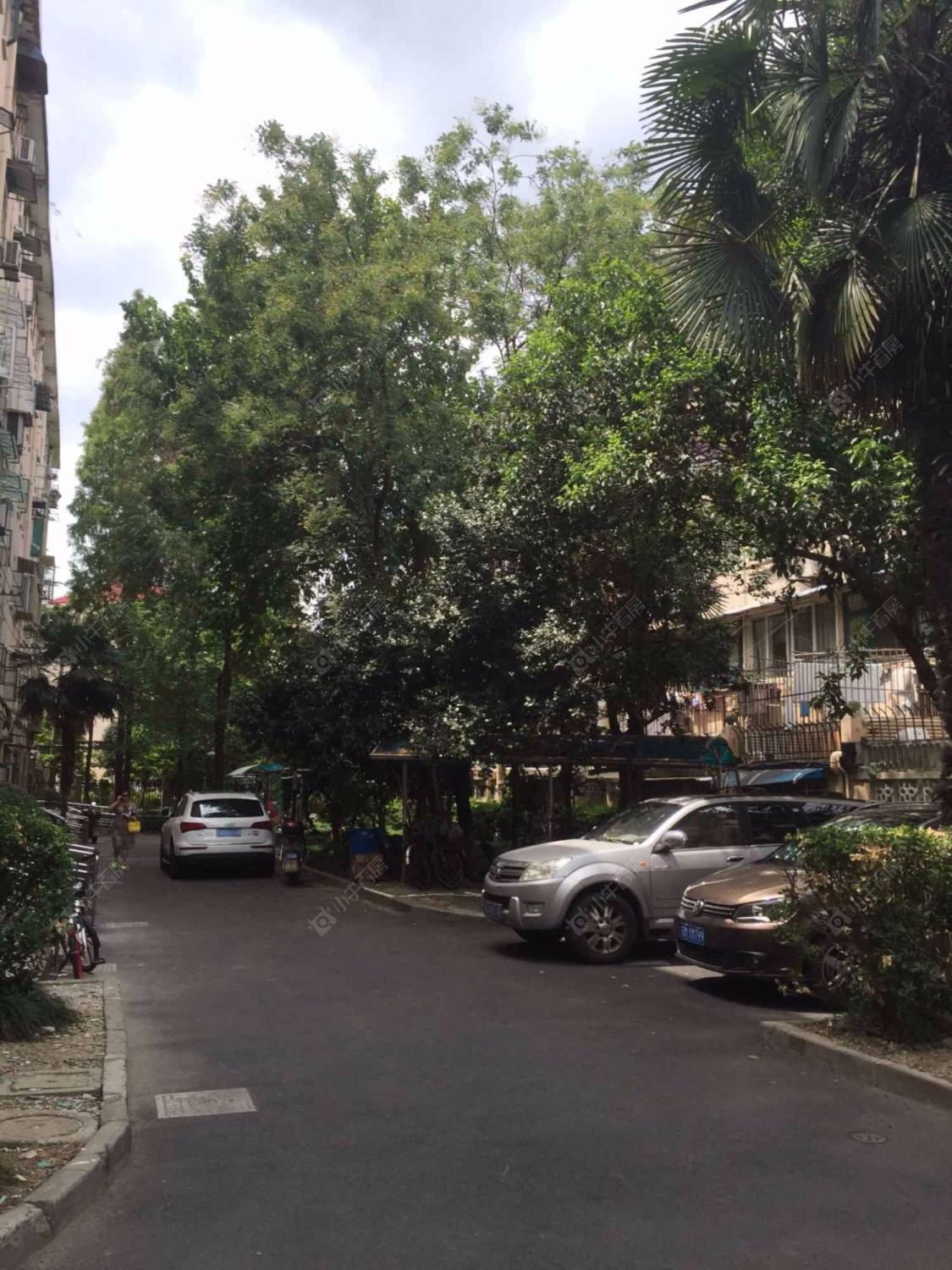 上海上南八村237弄20支弄小区_上南八村237弄20支弄小区null