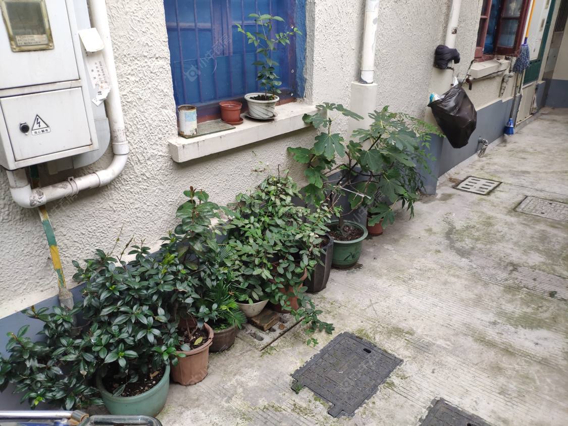 上海襄阳南路438弄小区_襄阳南路438弄小区null