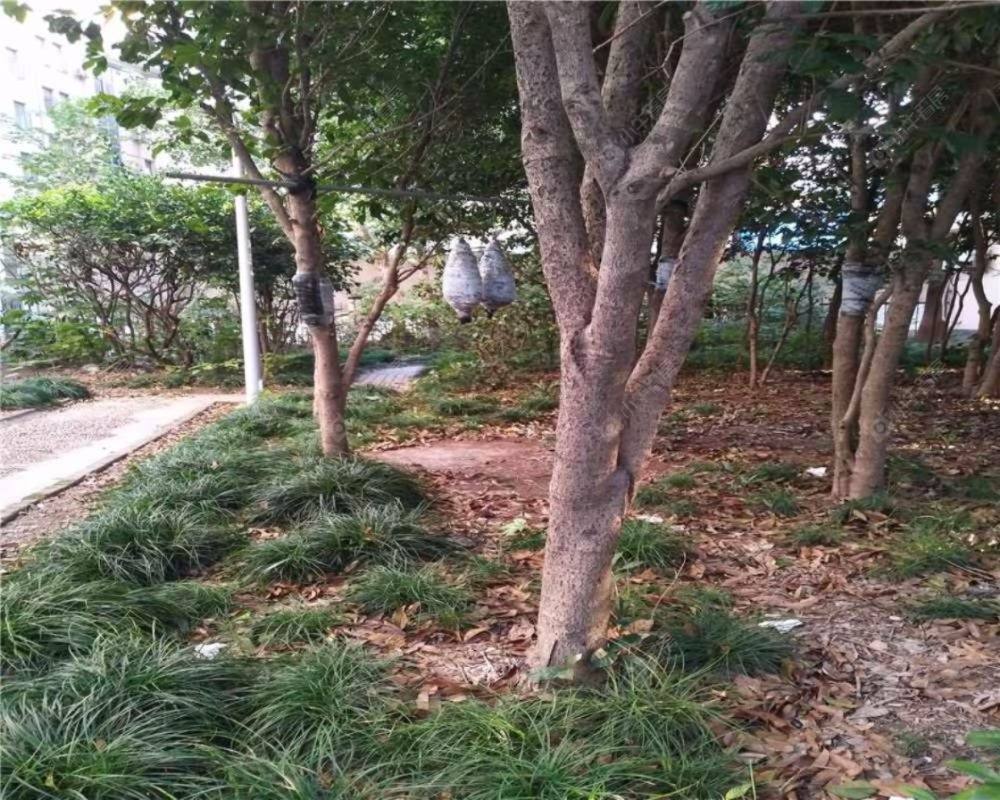 上海东明公寓小区_东明公寓小区null