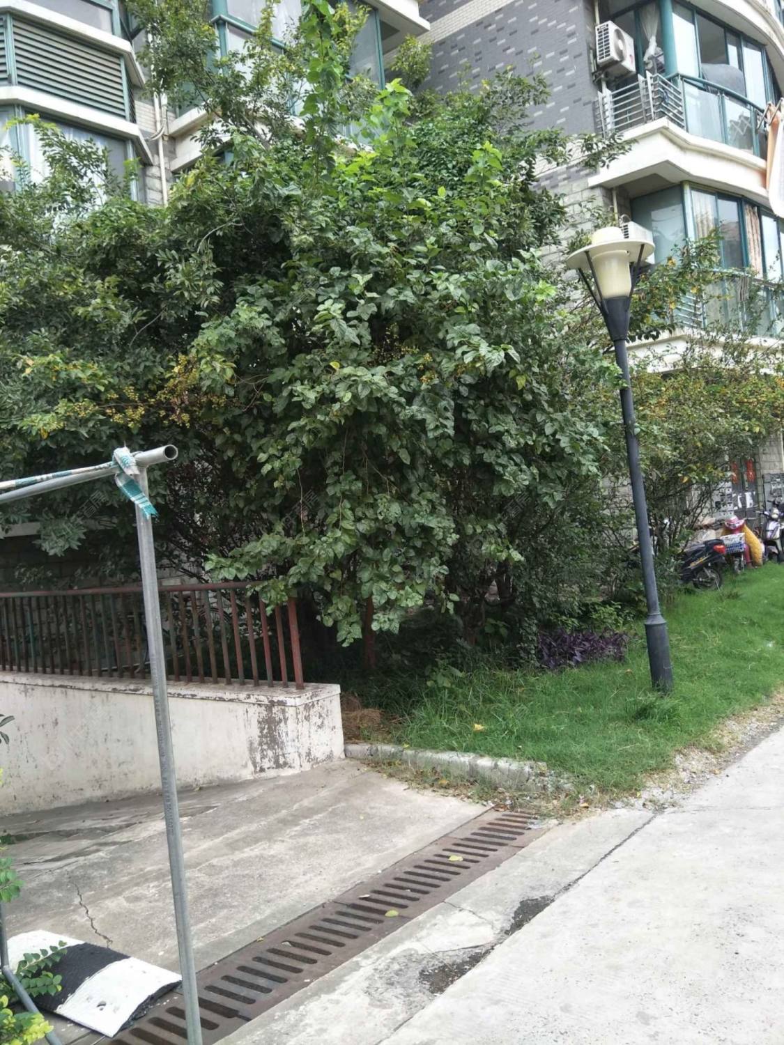 上海绿福公寓西区小区_绿福公寓西区小区null