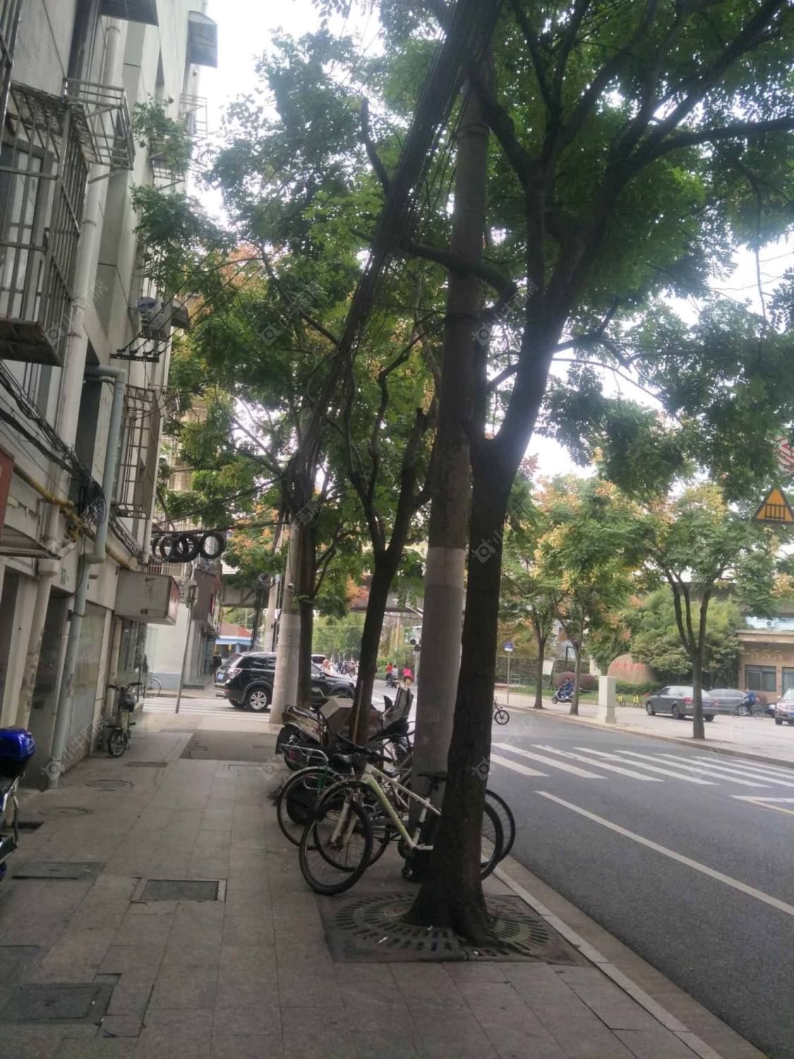 上海纪念路（虹口）小区_纪念路（虹口）小区null