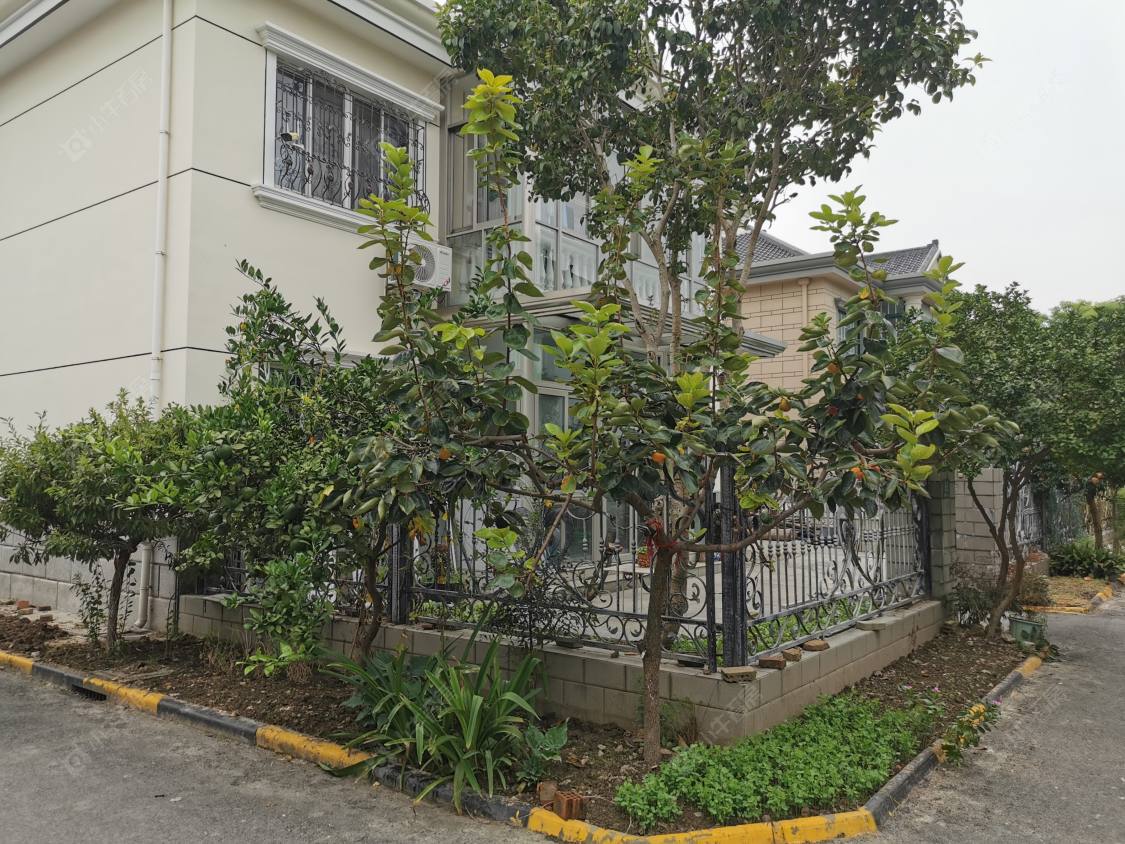 上海绿苑三村小区_绿苑三村小区null