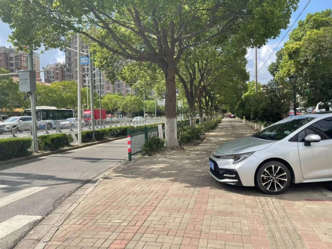 上海布鲁斯小镇一期别墅区小区_布鲁斯小镇一期别墅区小区null