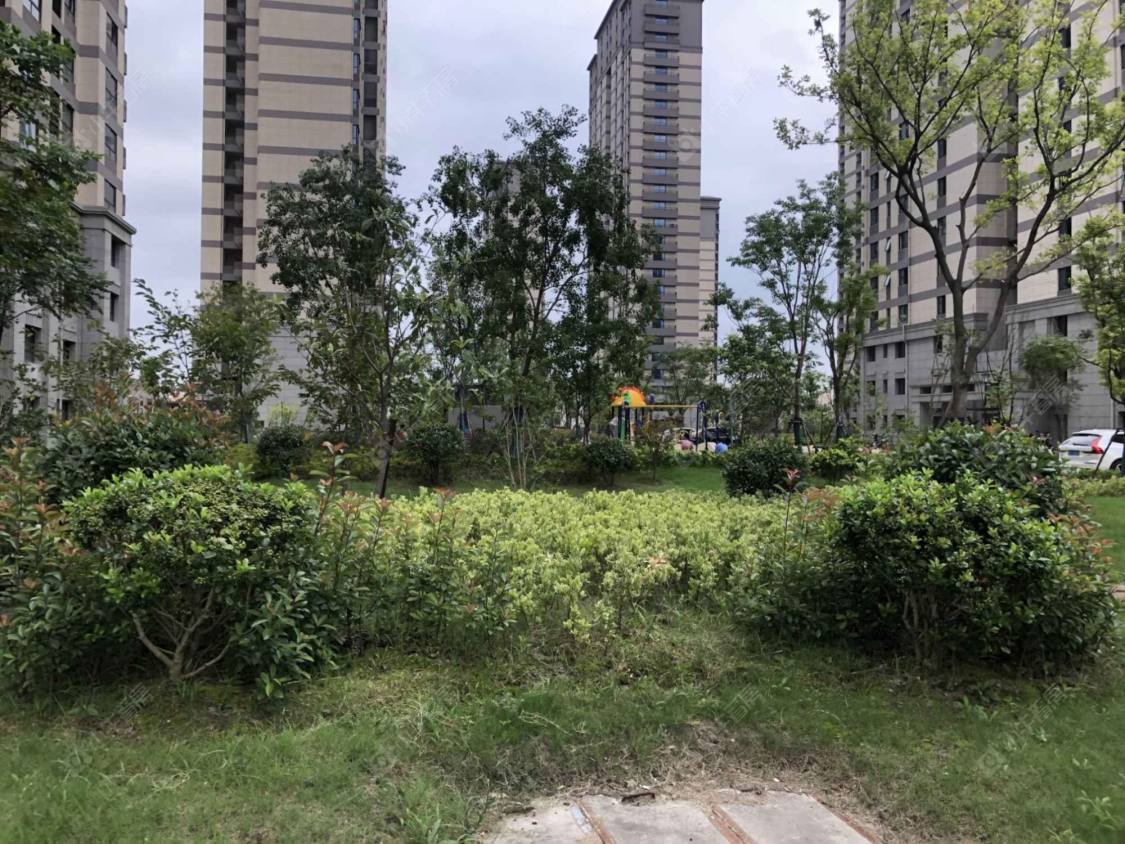 上海金水和璟园南区小区_金水和璟园南区小区null