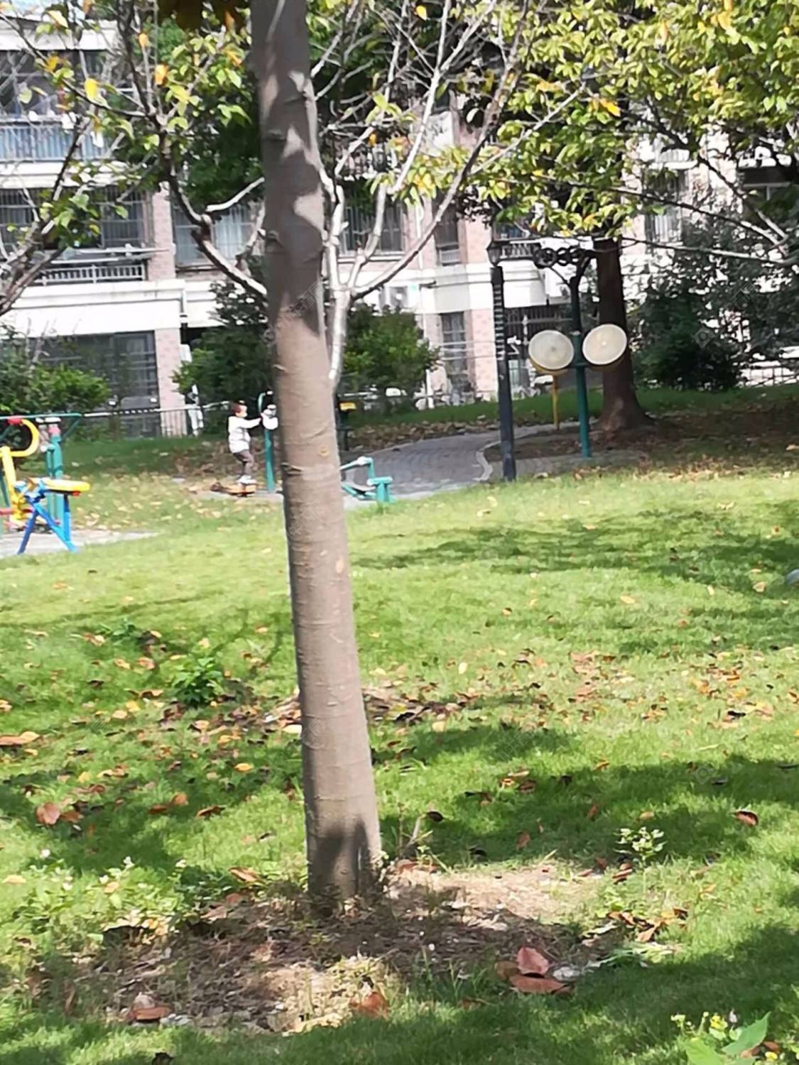 上海高行馨苑小区_高行馨苑小区null