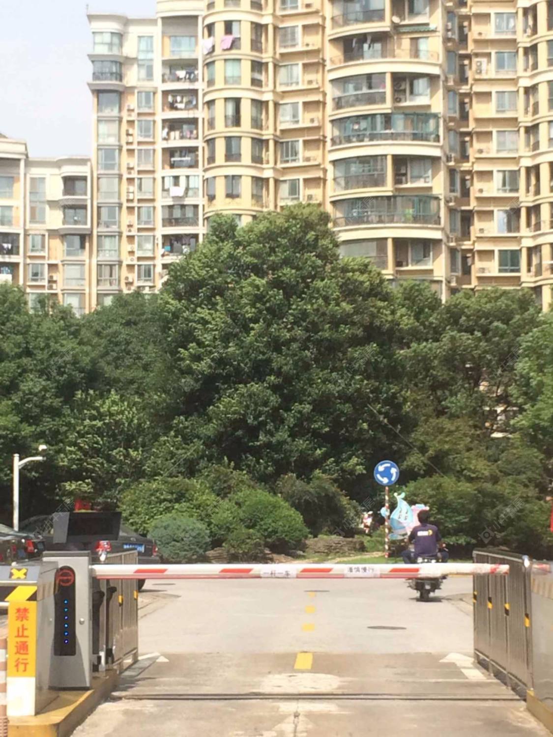 上海金桥爱建园小区_金桥爱建园小区null