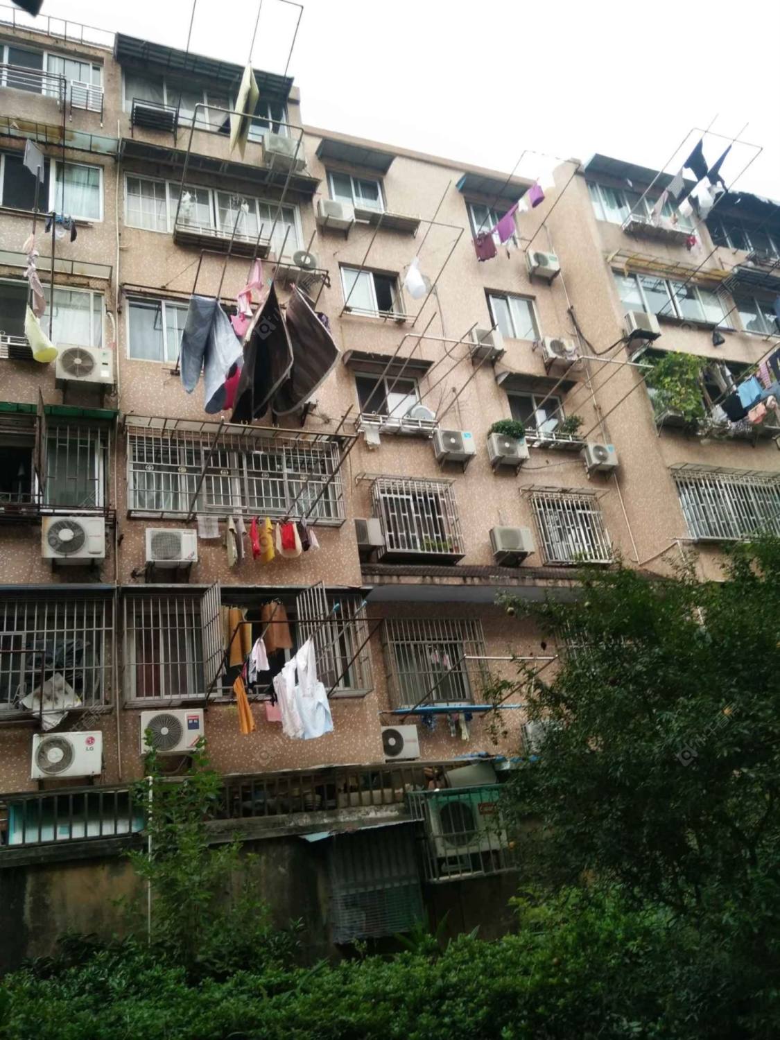 金原新苑封面图_小牛看房