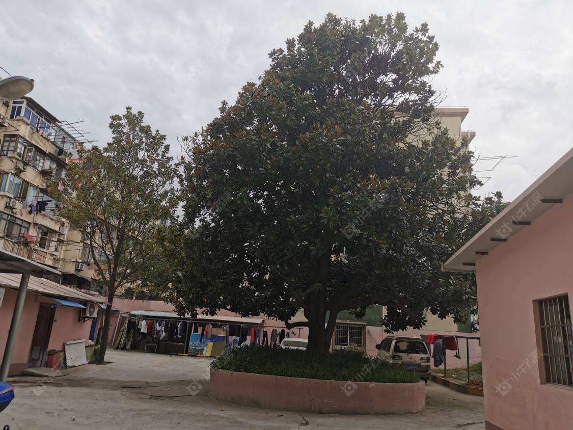 上海长江路860弄9支弄小区_长江路860弄9支弄小区null