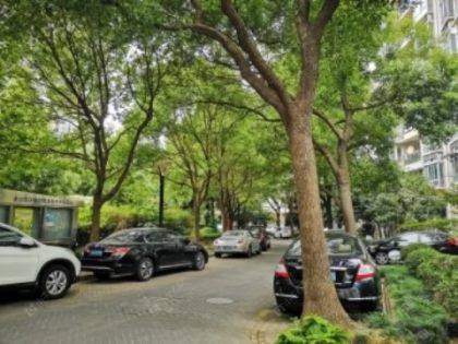 象源丽都封面图_小牛看房