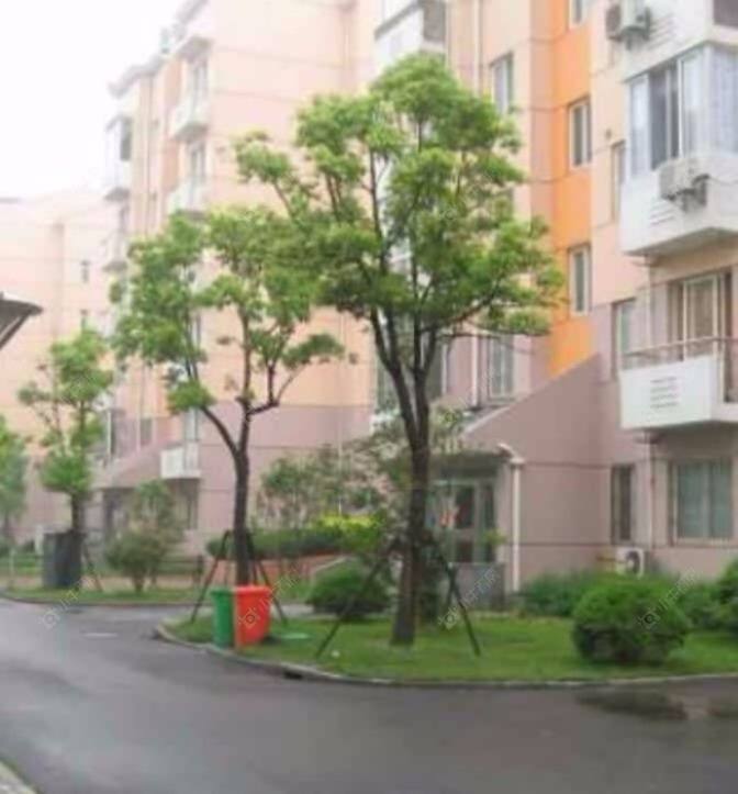 上海申云小区西区小区_申云小区西区小区null