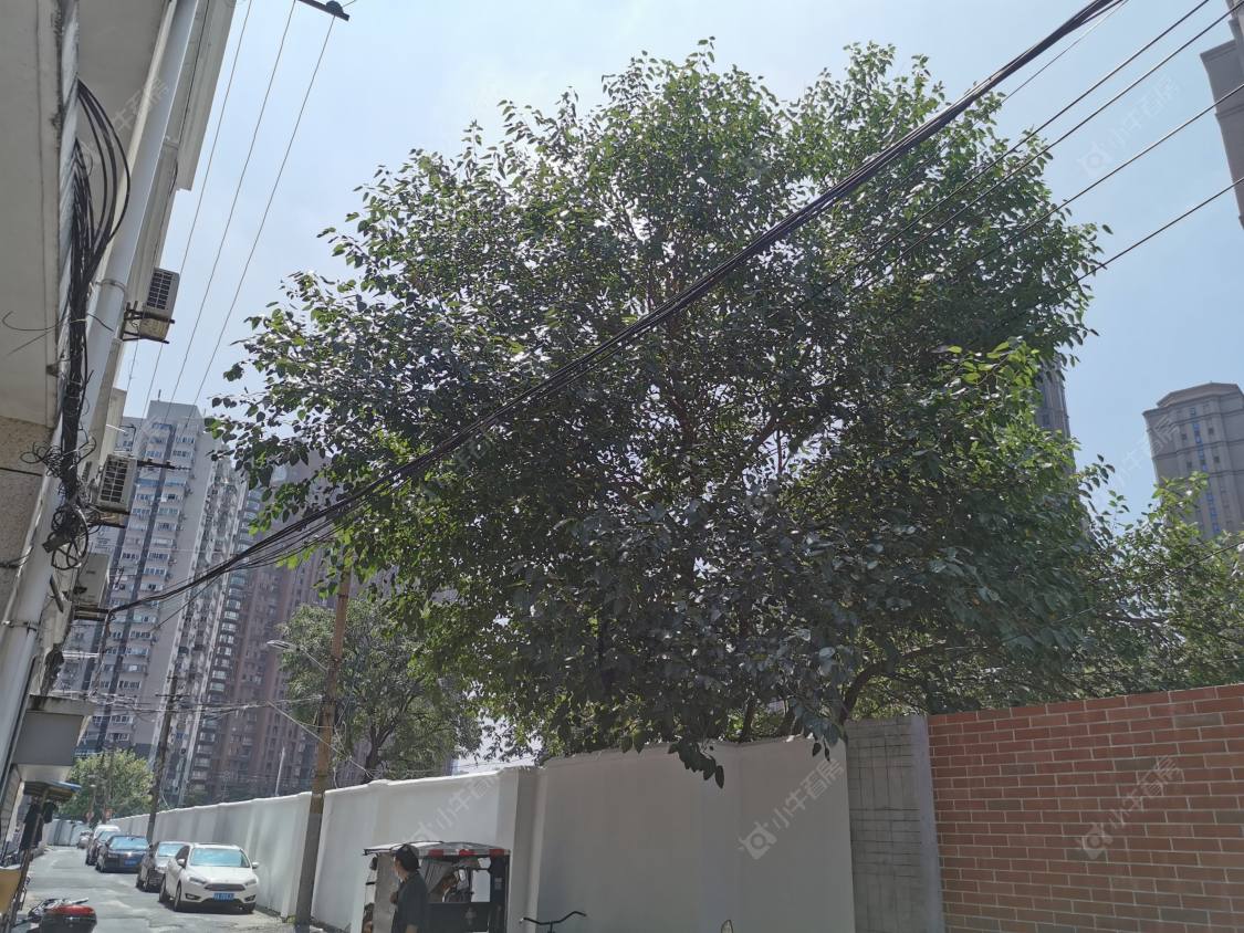 上海陆丰路（静安）小区_陆丰路（静安）小区null