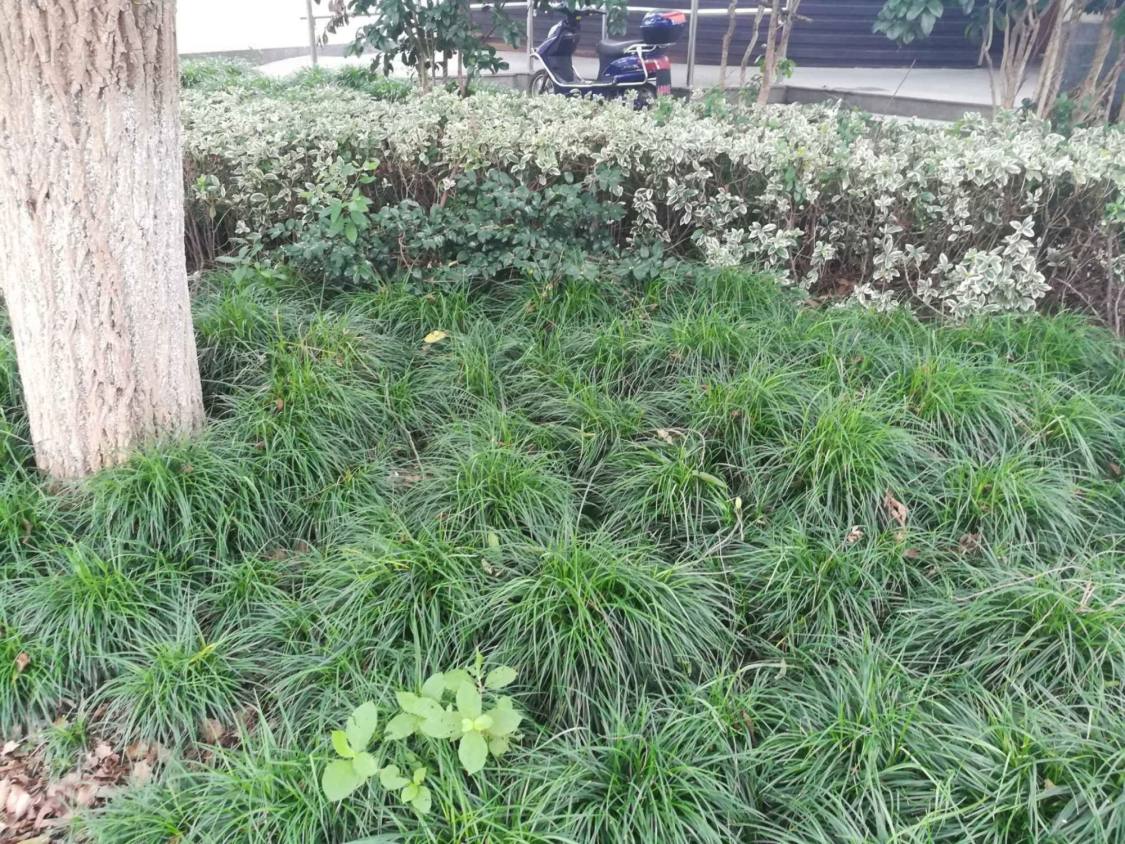 上海转角楼小区小区_转角楼小区小区null