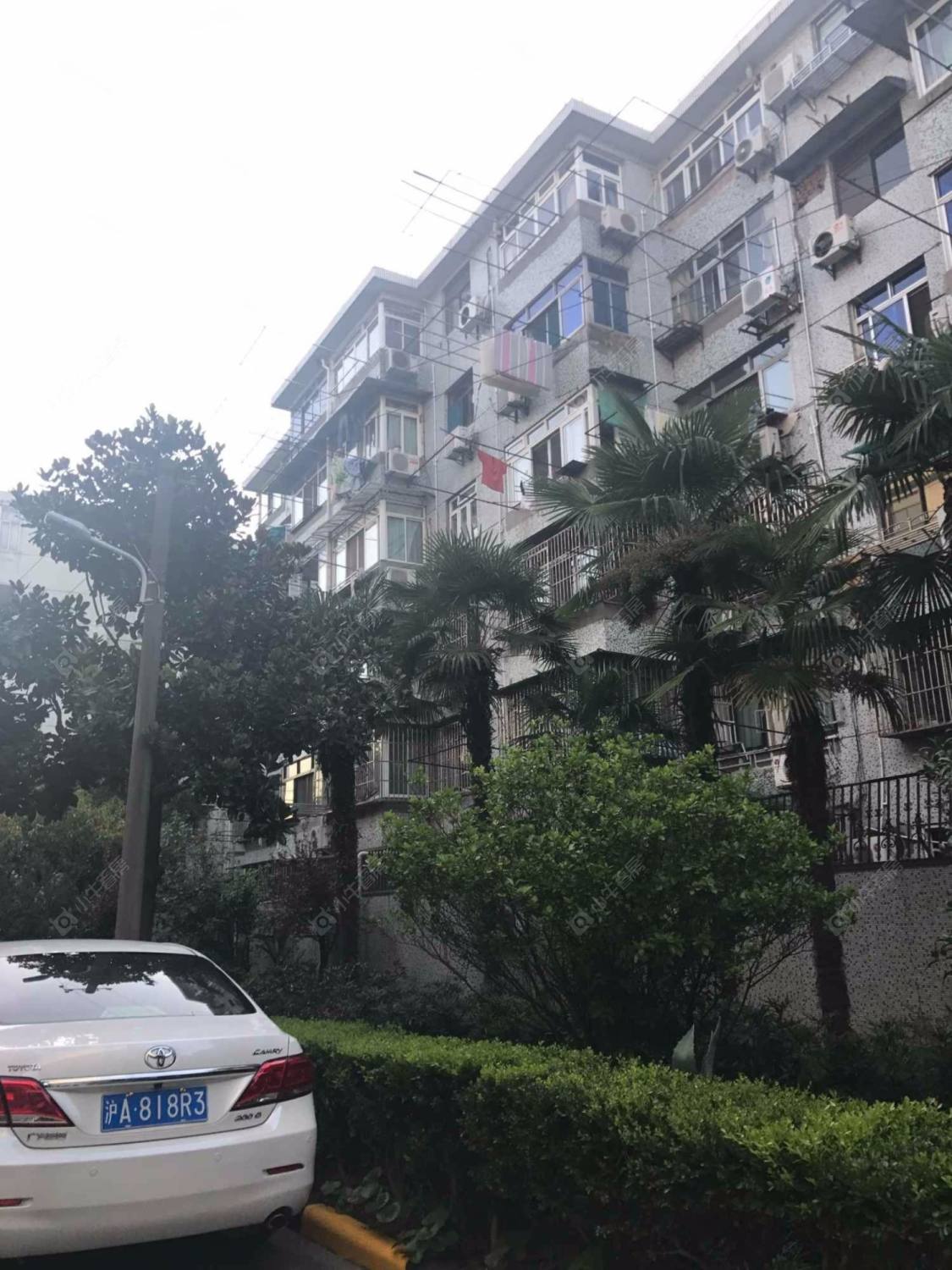 上海狮城花苑小区_狮城花苑小区null