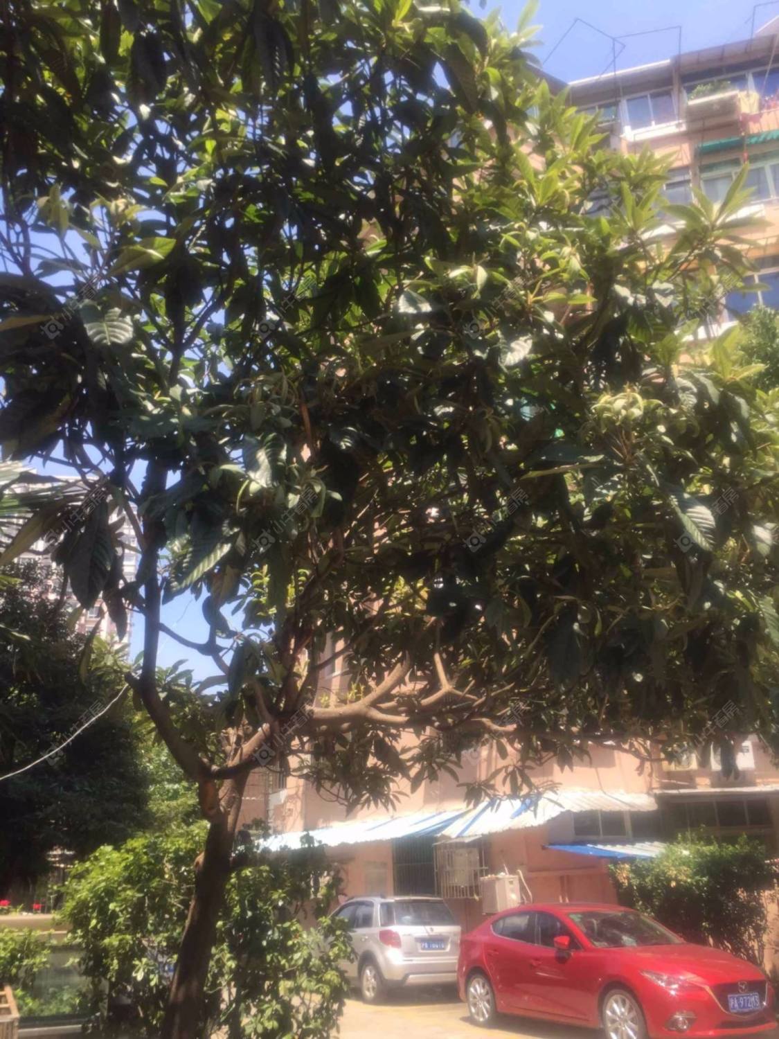 上海宝通大楼小区_宝通大楼小区null