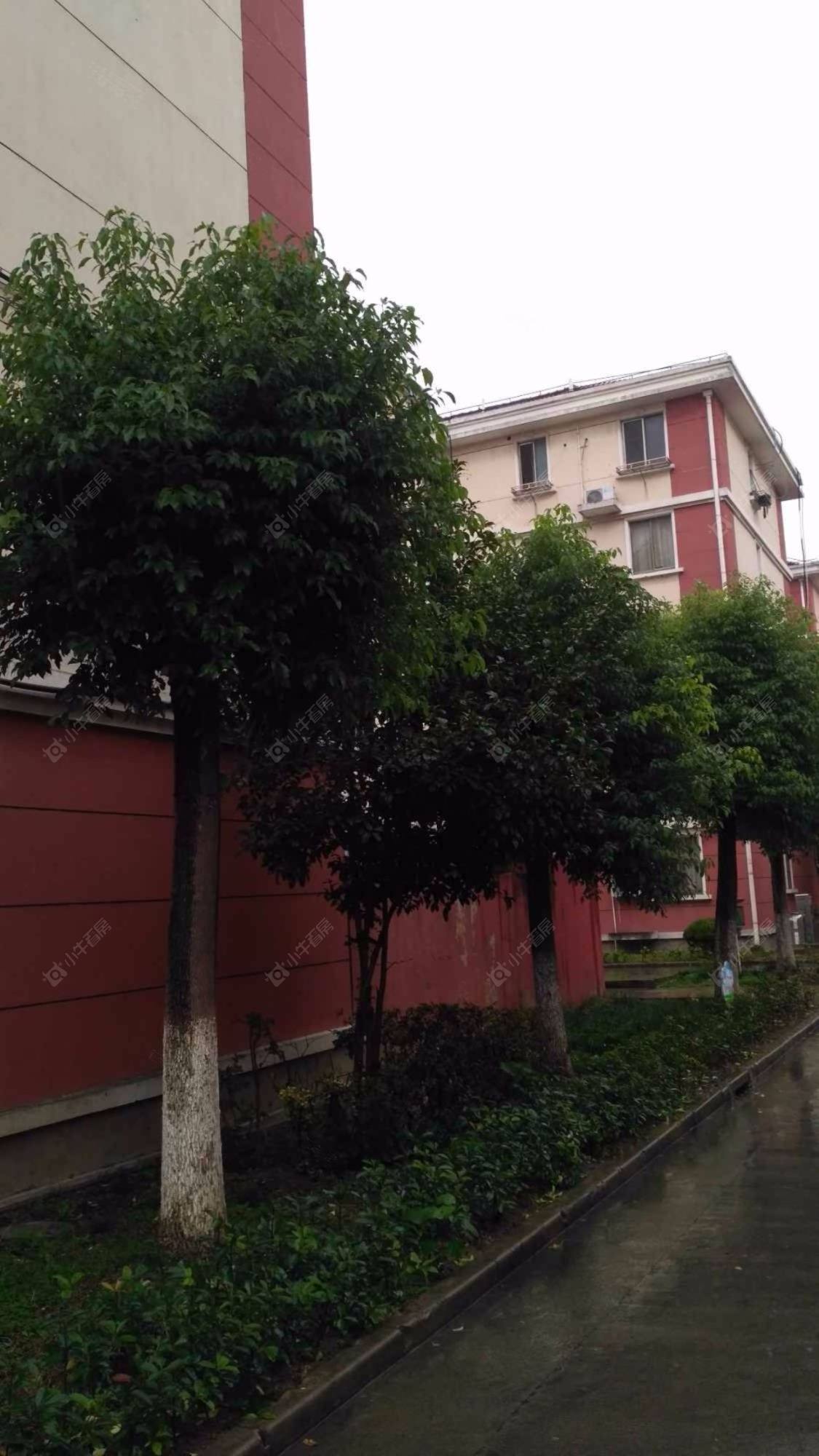 上海镇南花苑小区_镇南花苑小区null