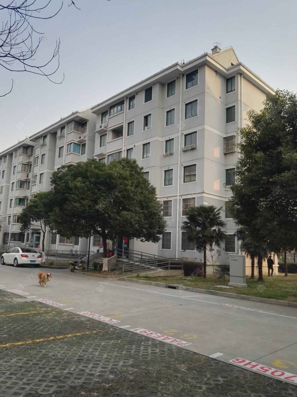 上海明祥苑南区小区_明祥苑南区小区null