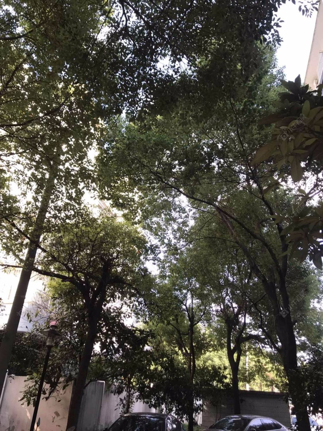 上海联城花苑小区_联城花苑小区null