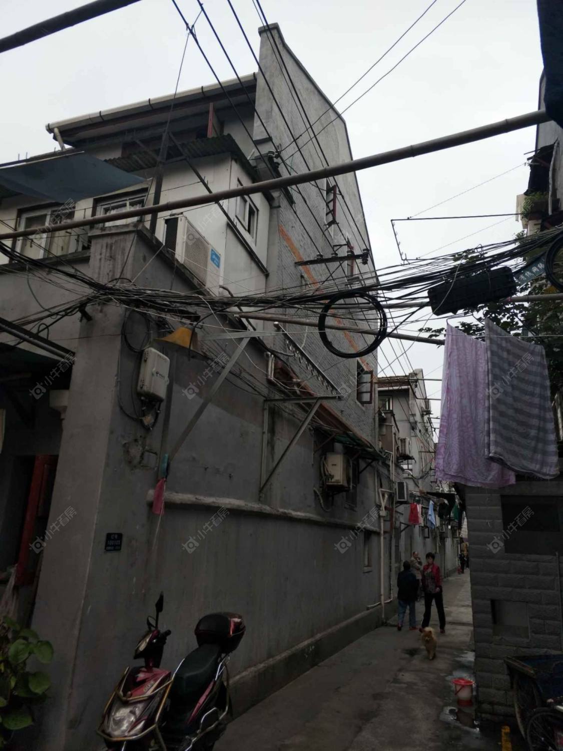 上海晋阳里小区_晋阳里小区null