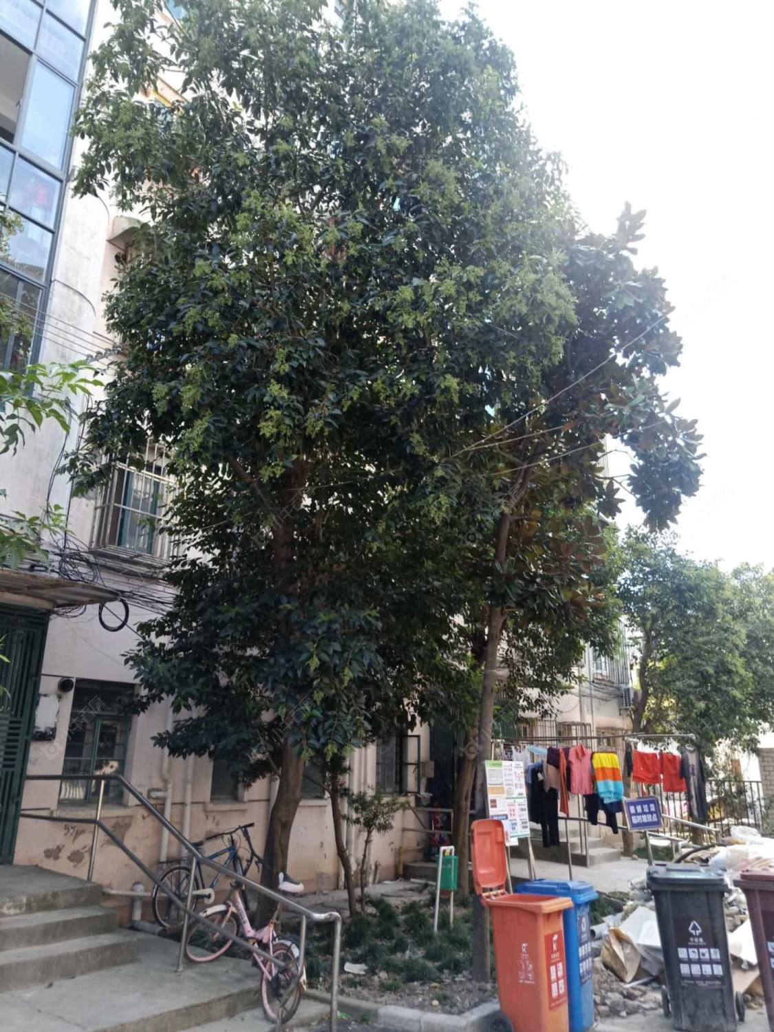 上海浦三路650弄小区_浦三路650弄小区null