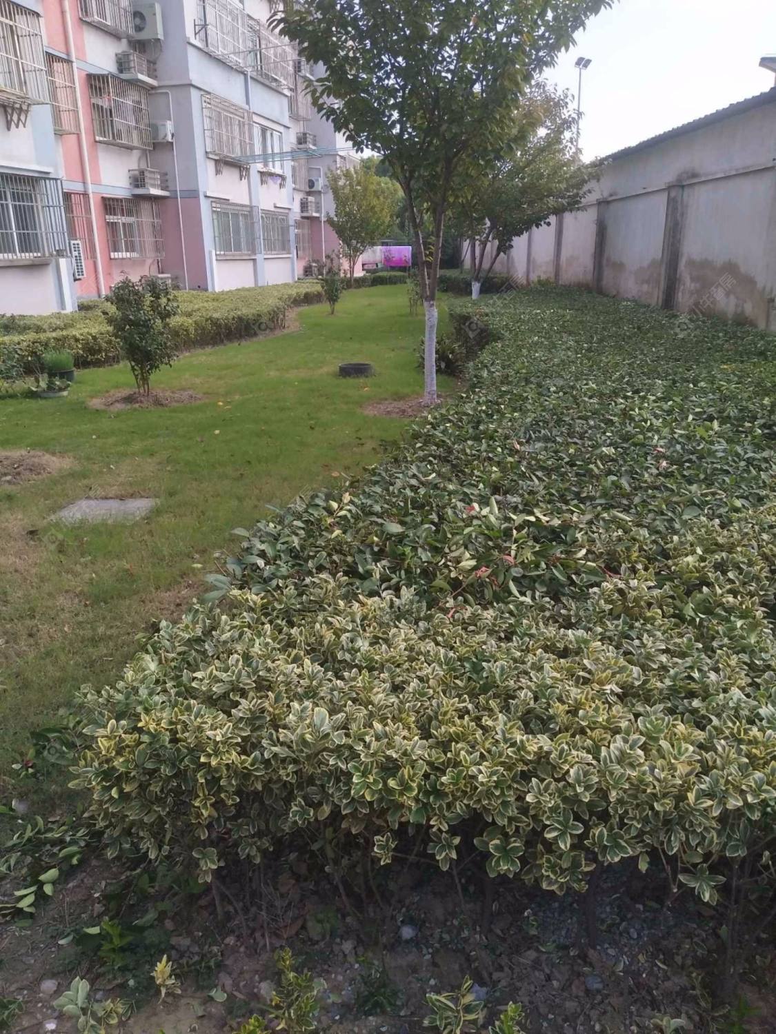 上海大治路668弄小区_大治路668弄小区null