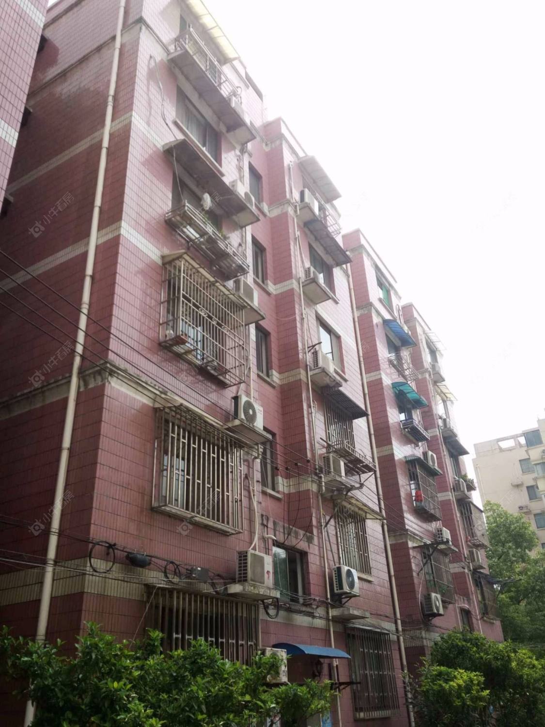 上海逸兴苑小区_逸兴苑小区null