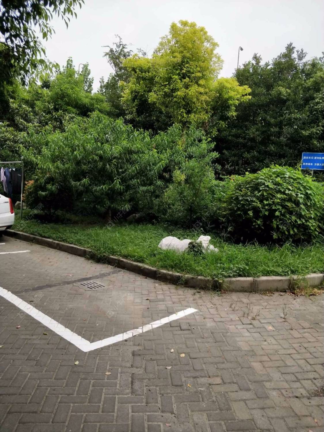 上海泰宸景苑小区_泰宸景苑小区null