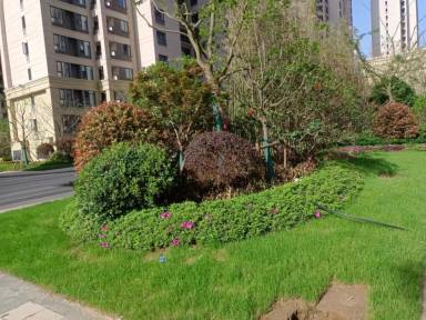 上海悦达南郊华都新房_小牛看房