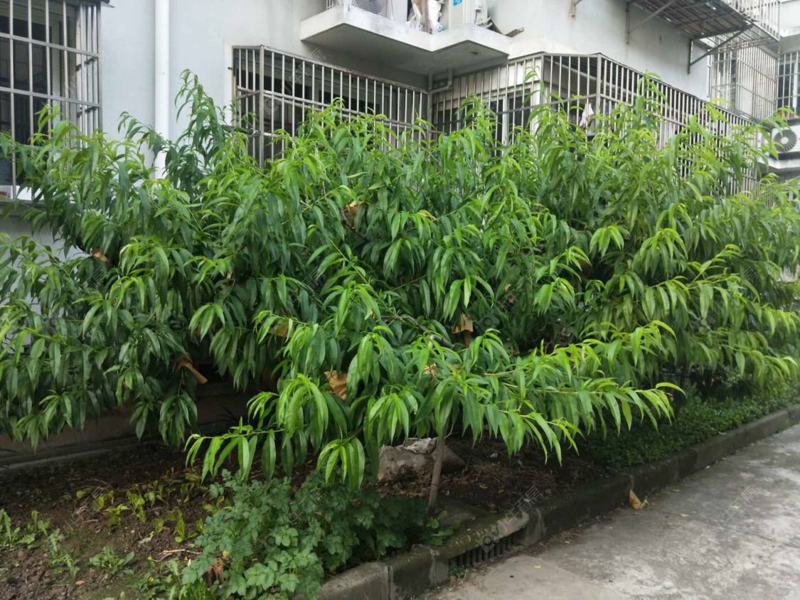 上海新环西路546弄小区_新环西路546弄小区null