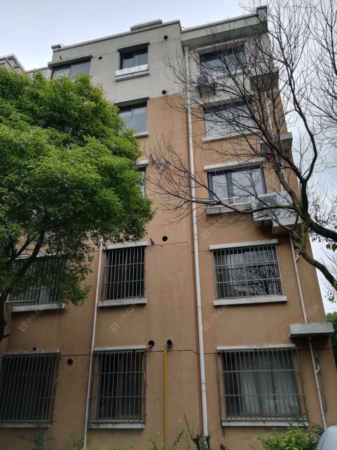 上海杨园新苑小区_杨园新苑小区null