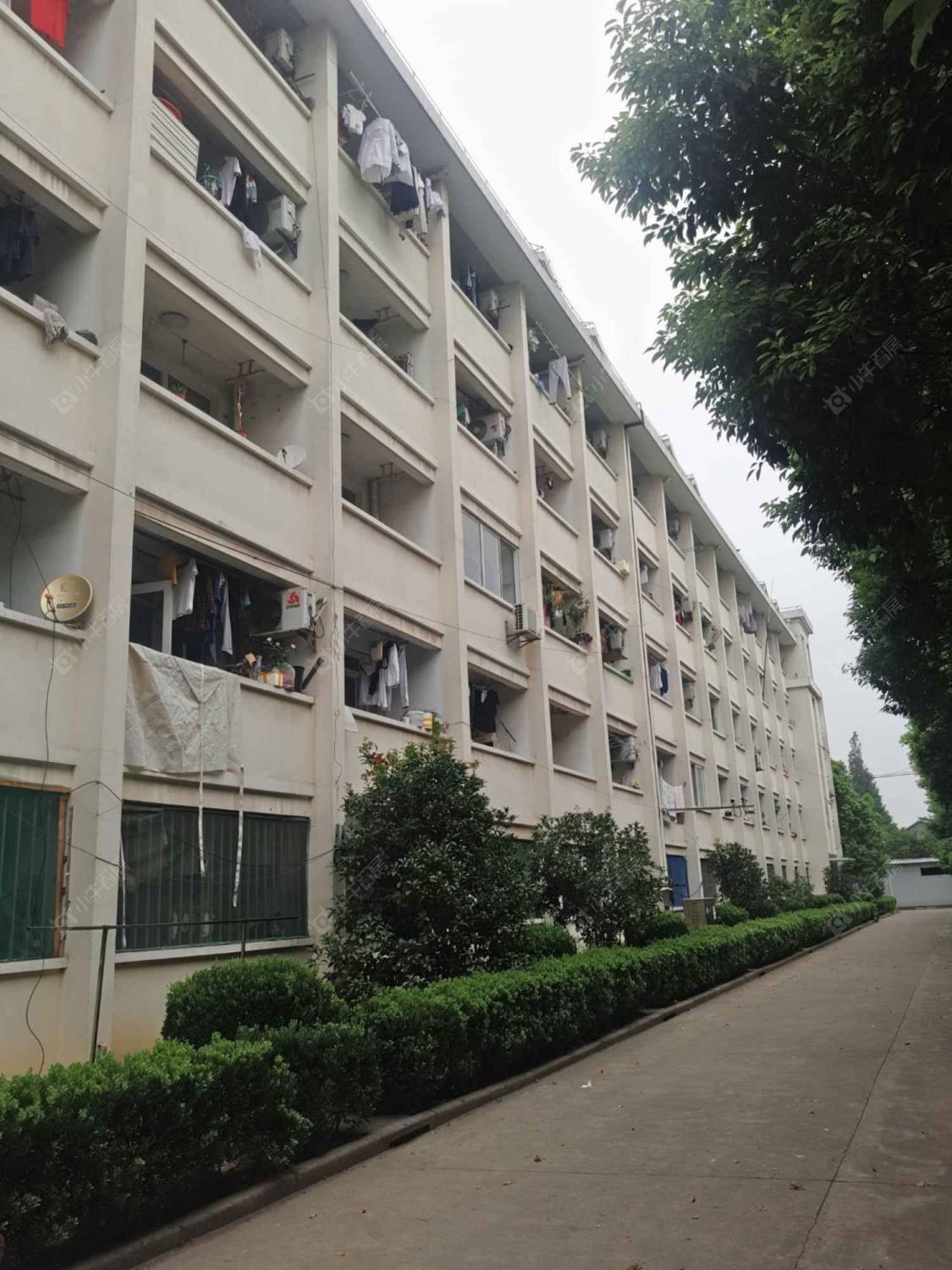 上海李家科盛公寓小区_李家科盛公寓小区实景图