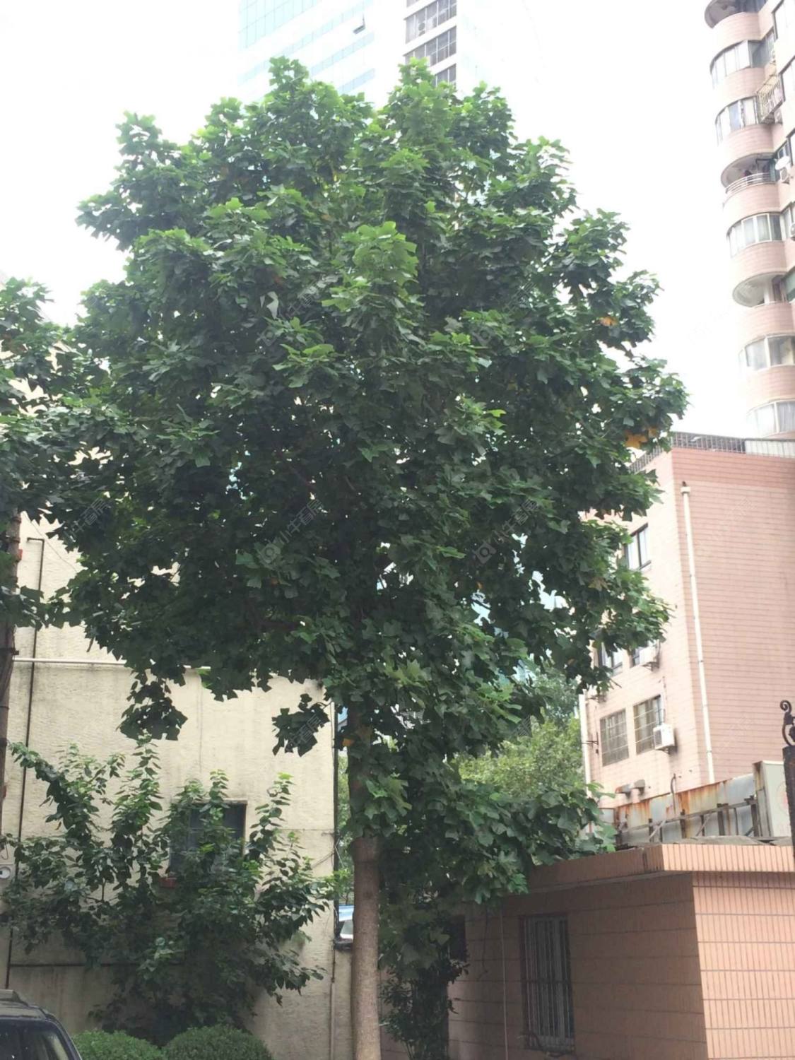 上海延和大厦小区_延和大厦小区null