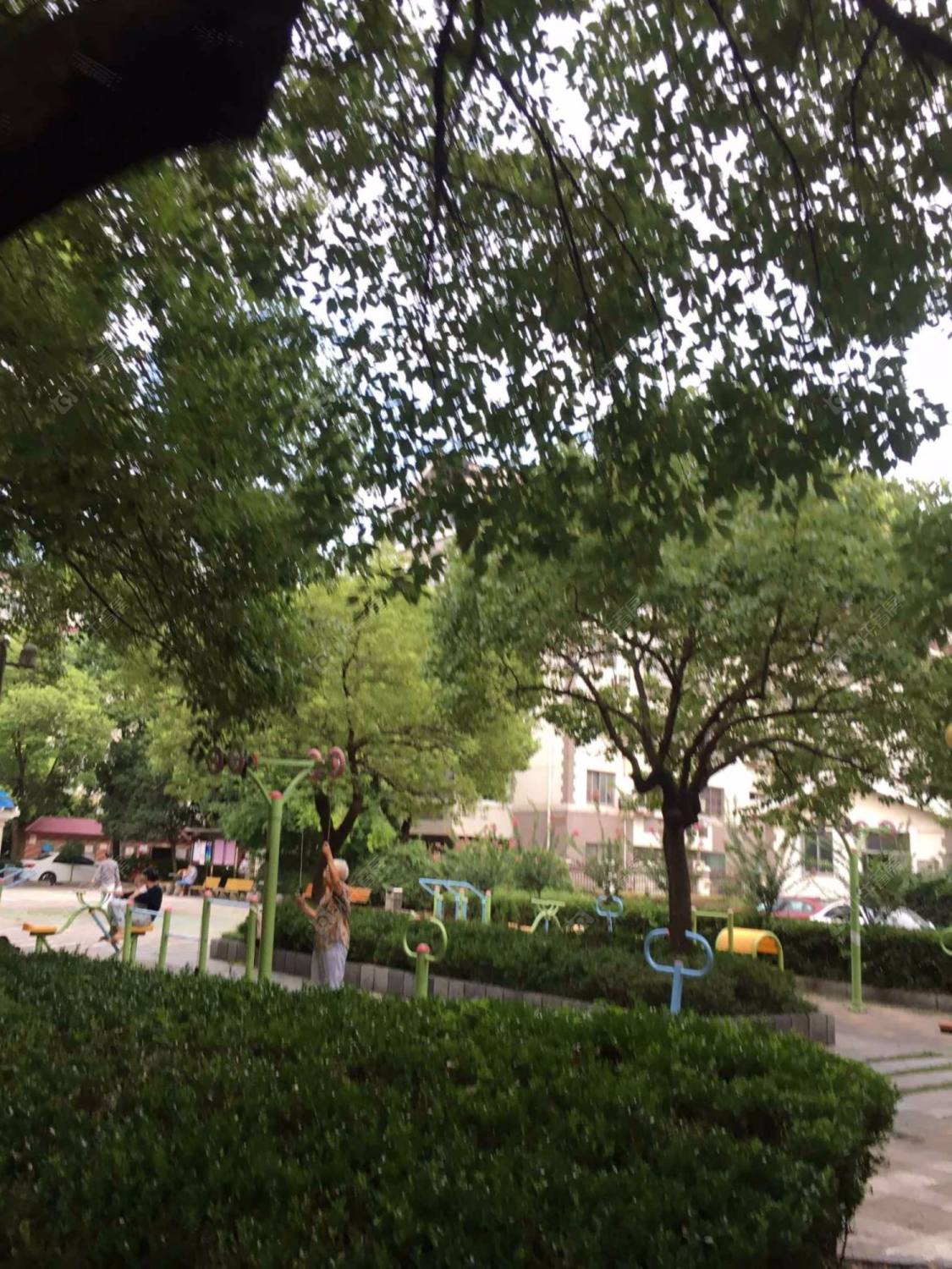 上海广中苑小区_广中苑小区null