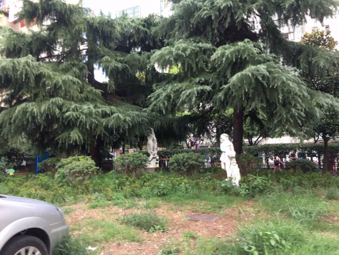 上海振和公寓小区_振和公寓小区null