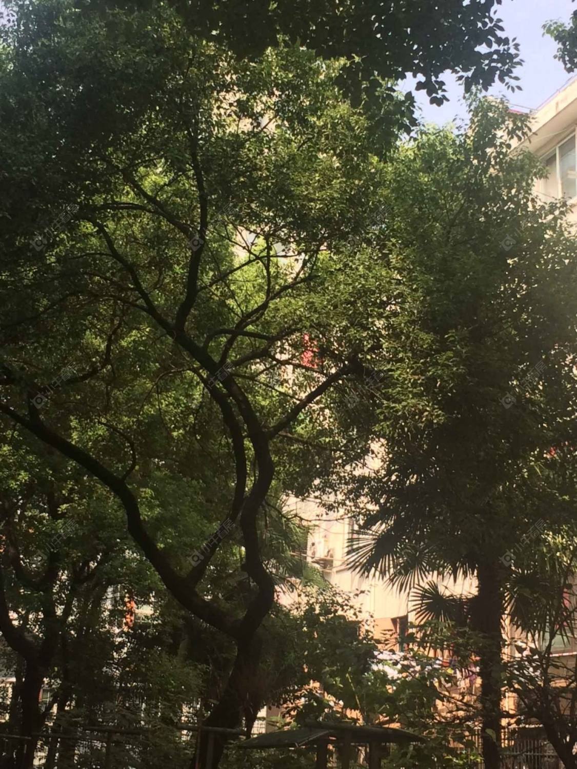 上海新华路445弄小区_新华路445弄小区null