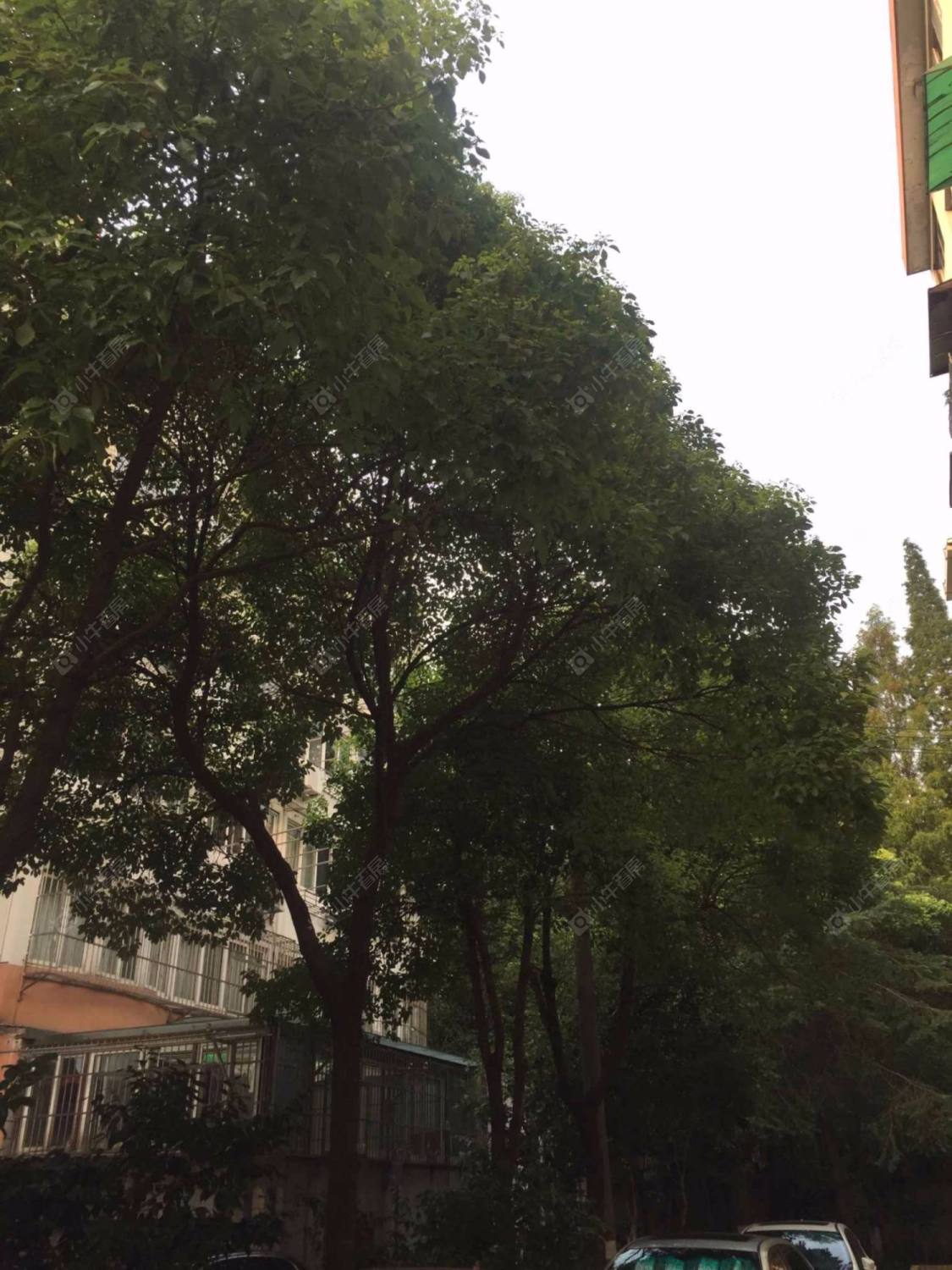 上海双城路2弄小区_双城路2弄小区null