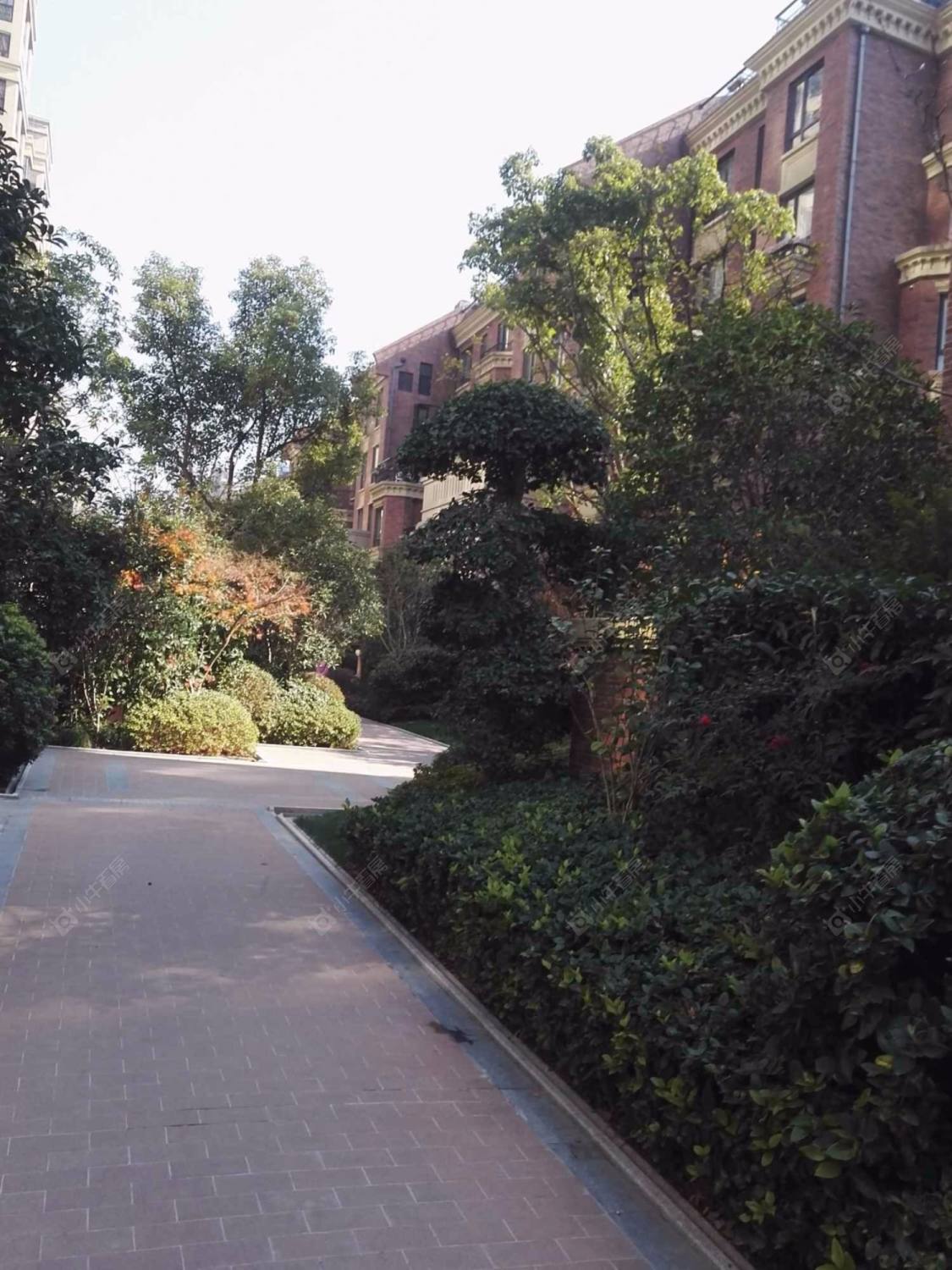 上海仁和都市花园小区_仁和都市花园小区null