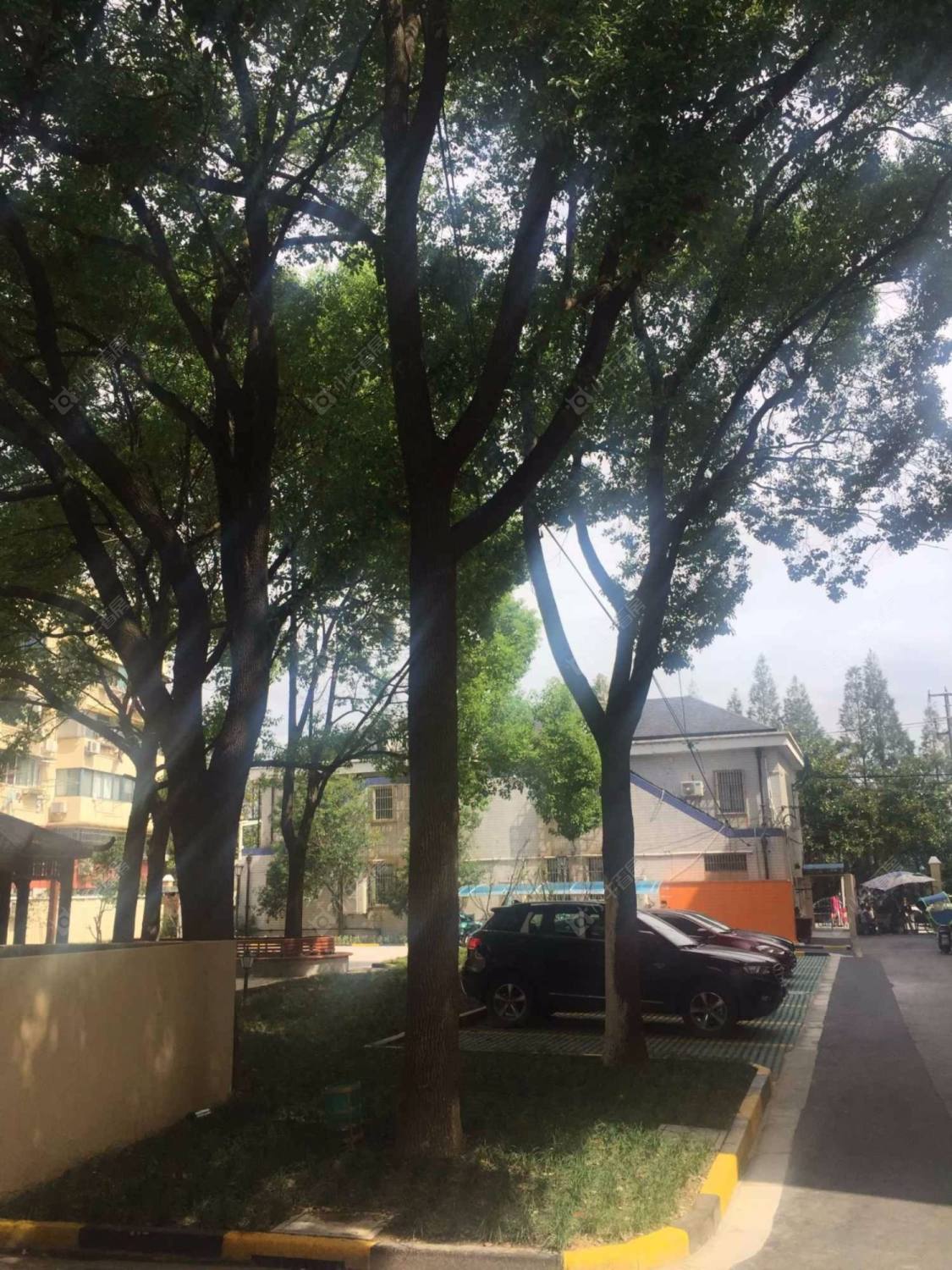 上海绿梅二村小区_绿梅二村小区null