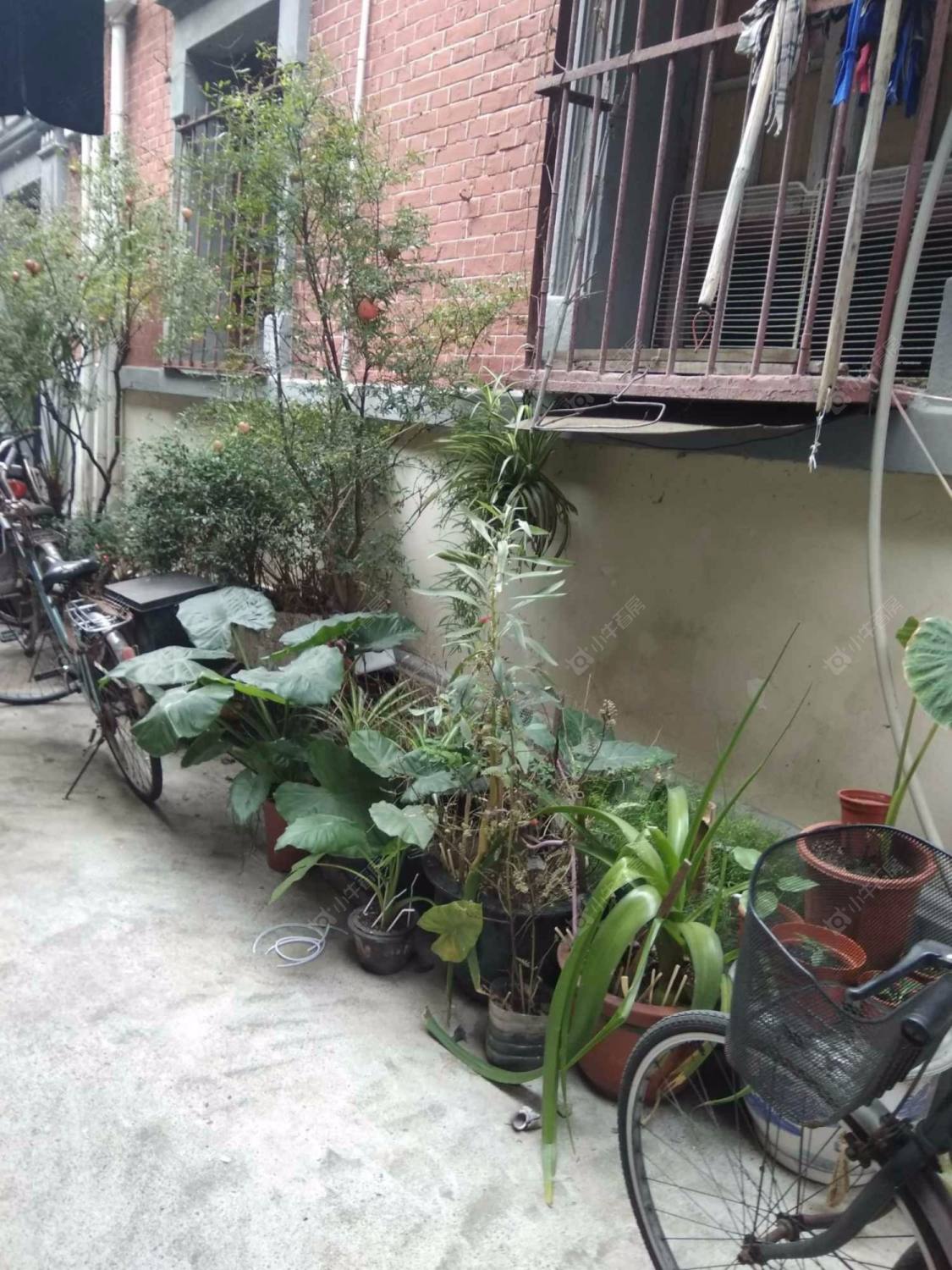 上海永平安小区_永平安小区null