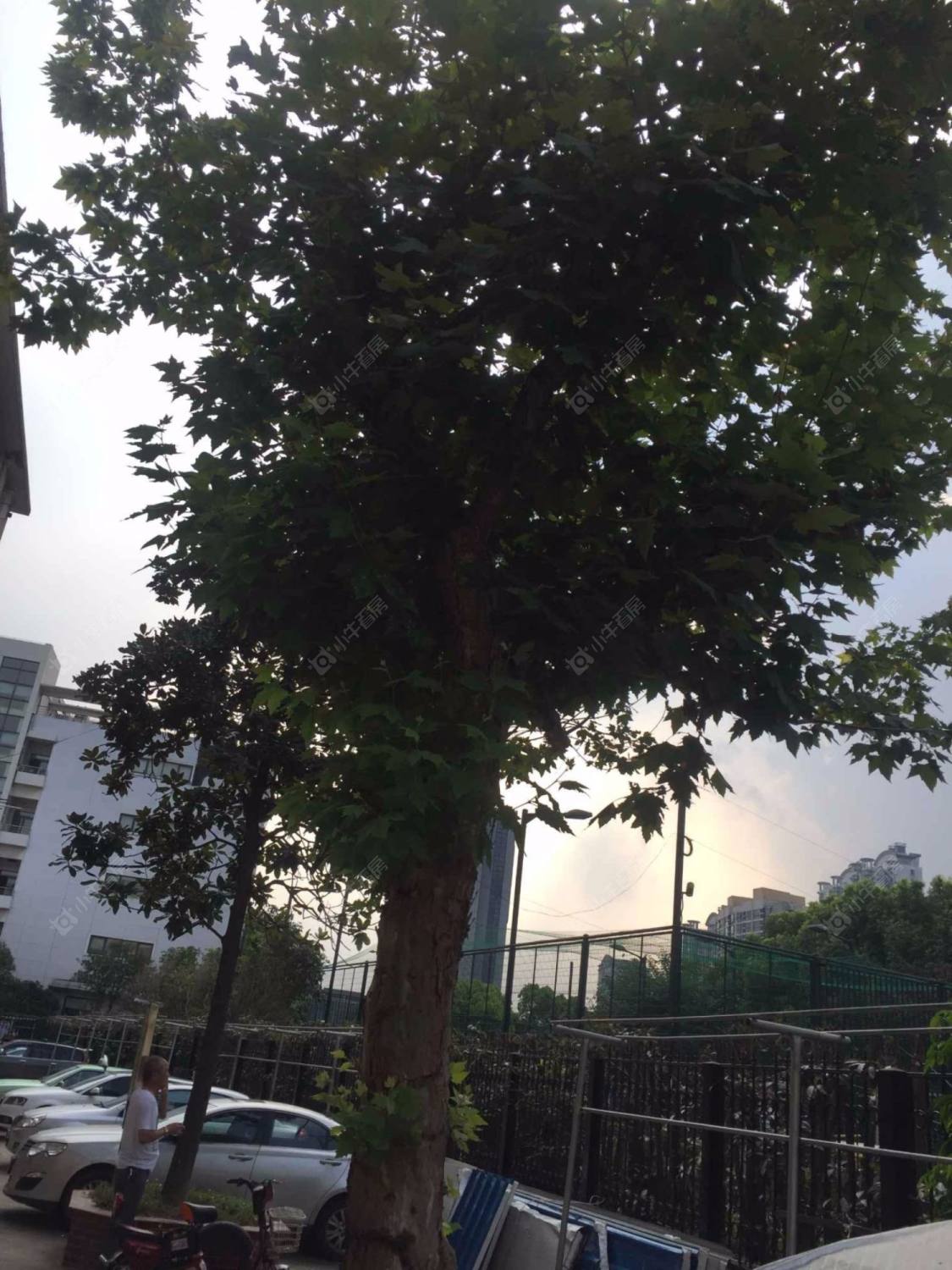 上海铁路宿舍小区_铁路宿舍小区null