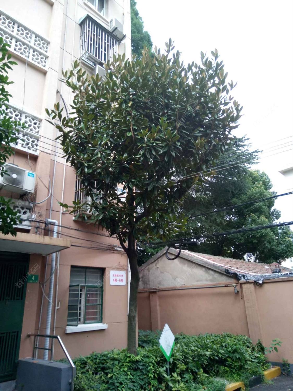 上海玉田路201弄小区_玉田路201弄小区null