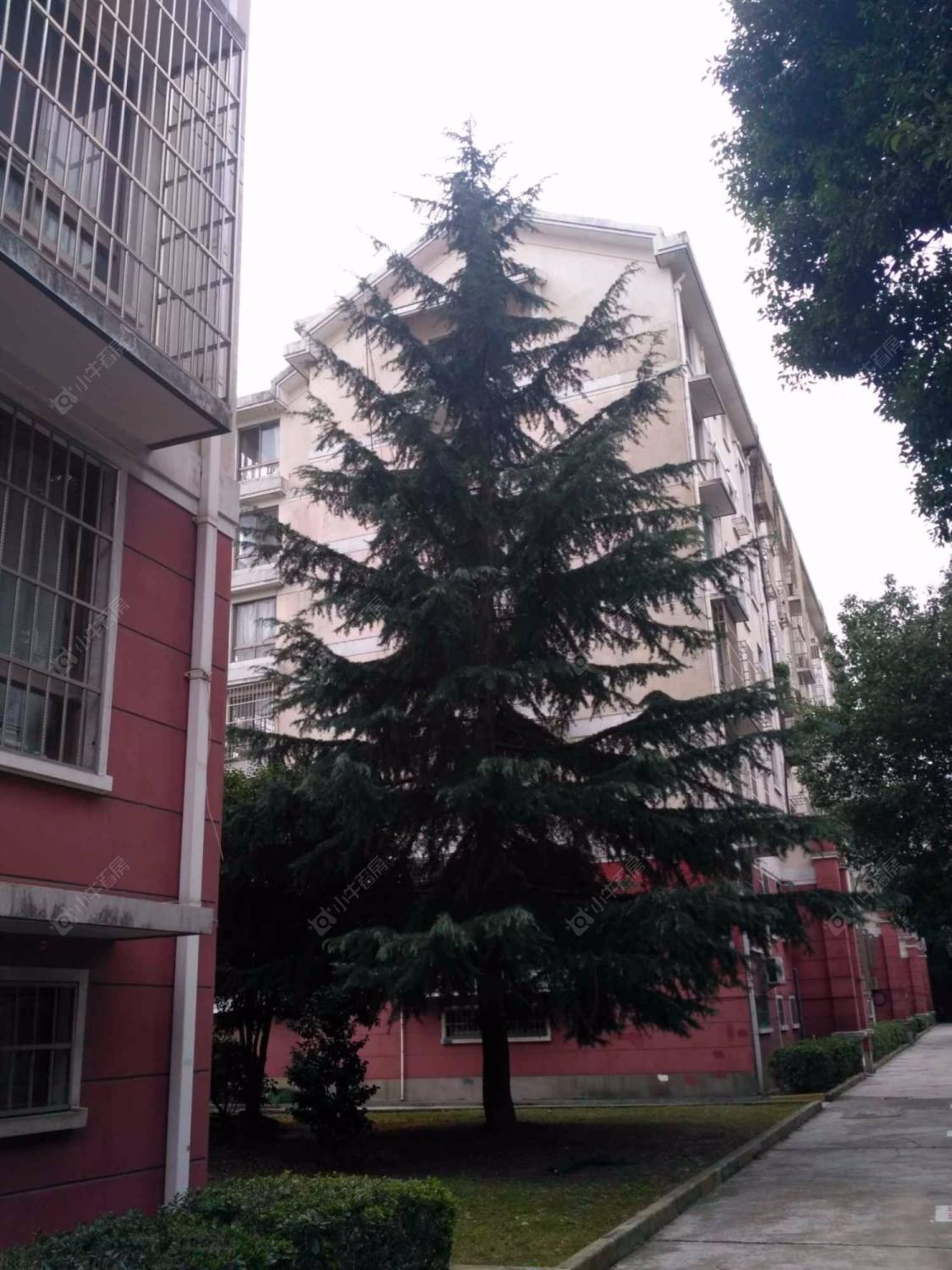 曙光新苑封面图_小牛看房